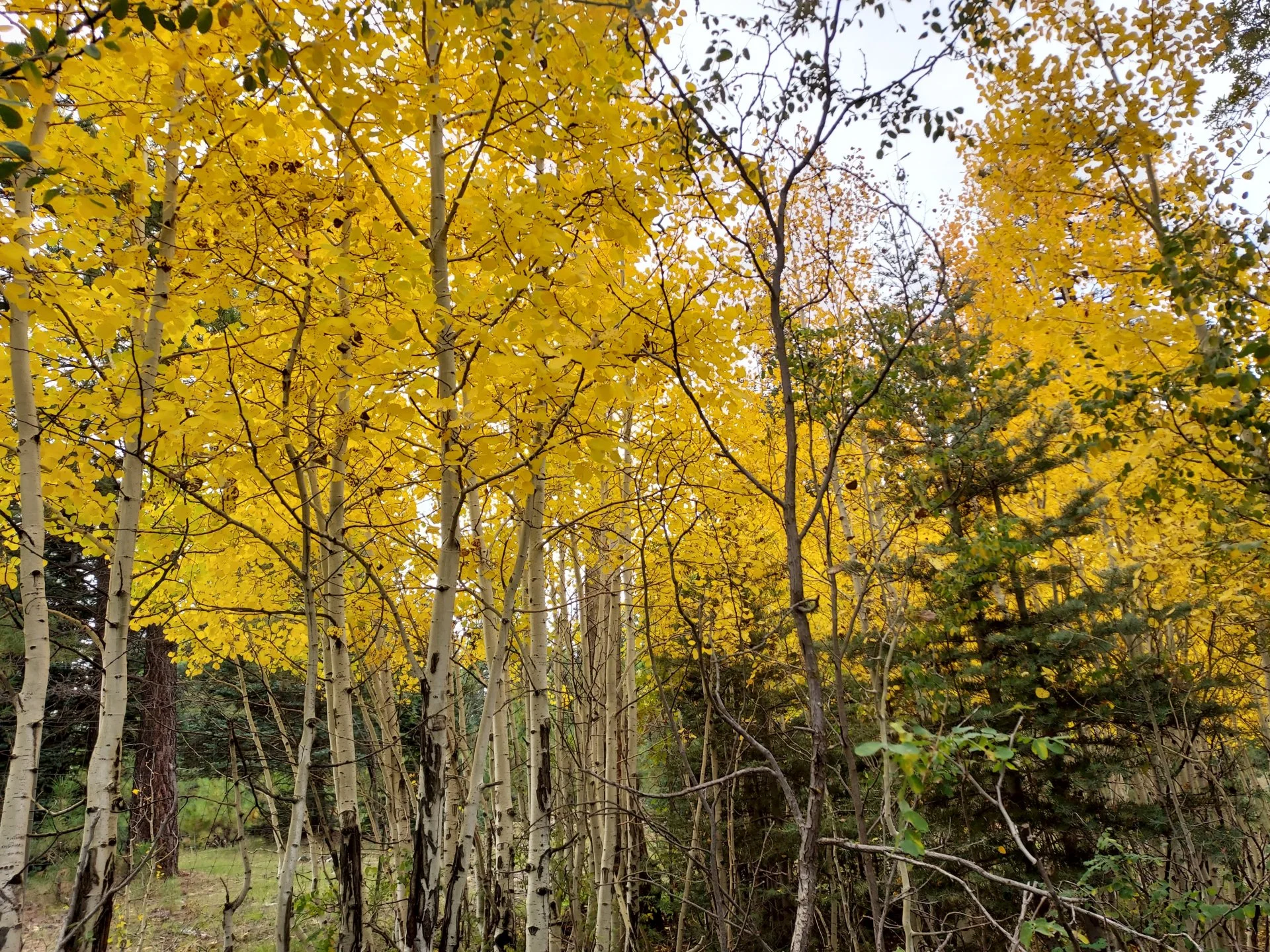 20211008_140816.webp