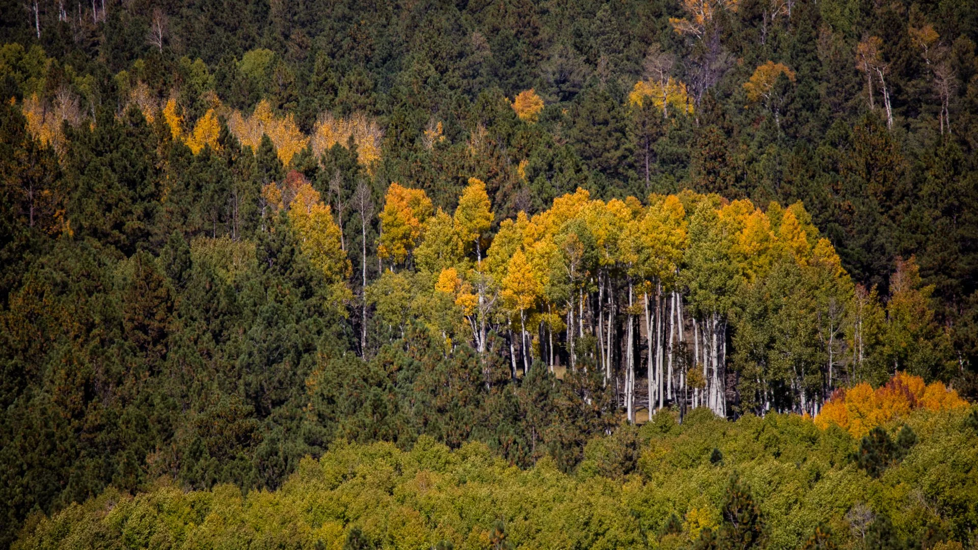 20211009-IMGL3427.jpg