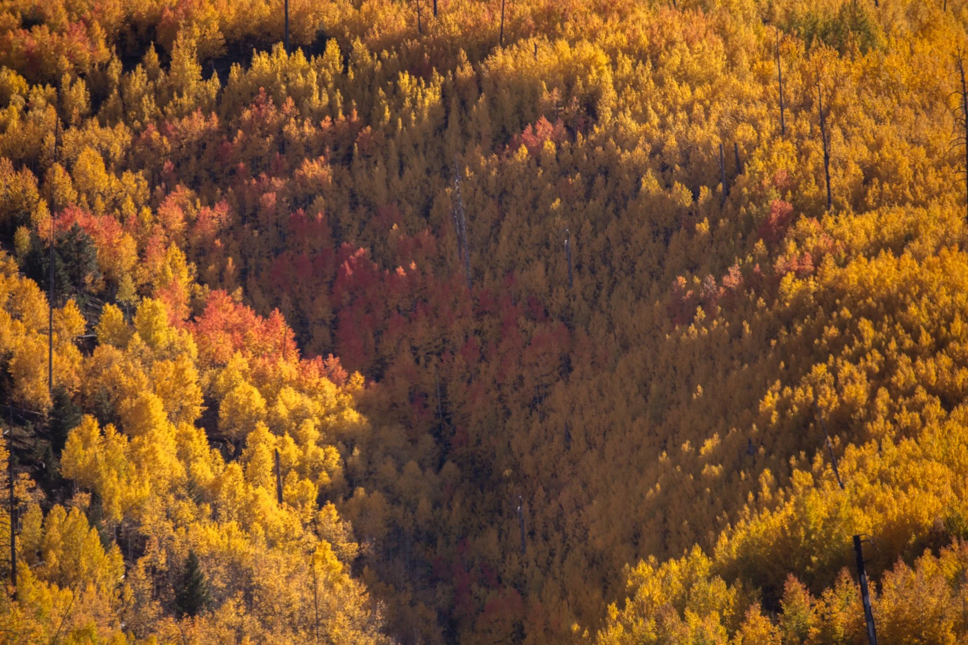 20211009-IMGL3458.jpg
