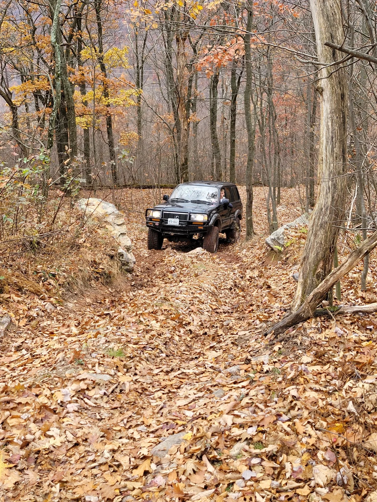 20211114_140438[1].webp