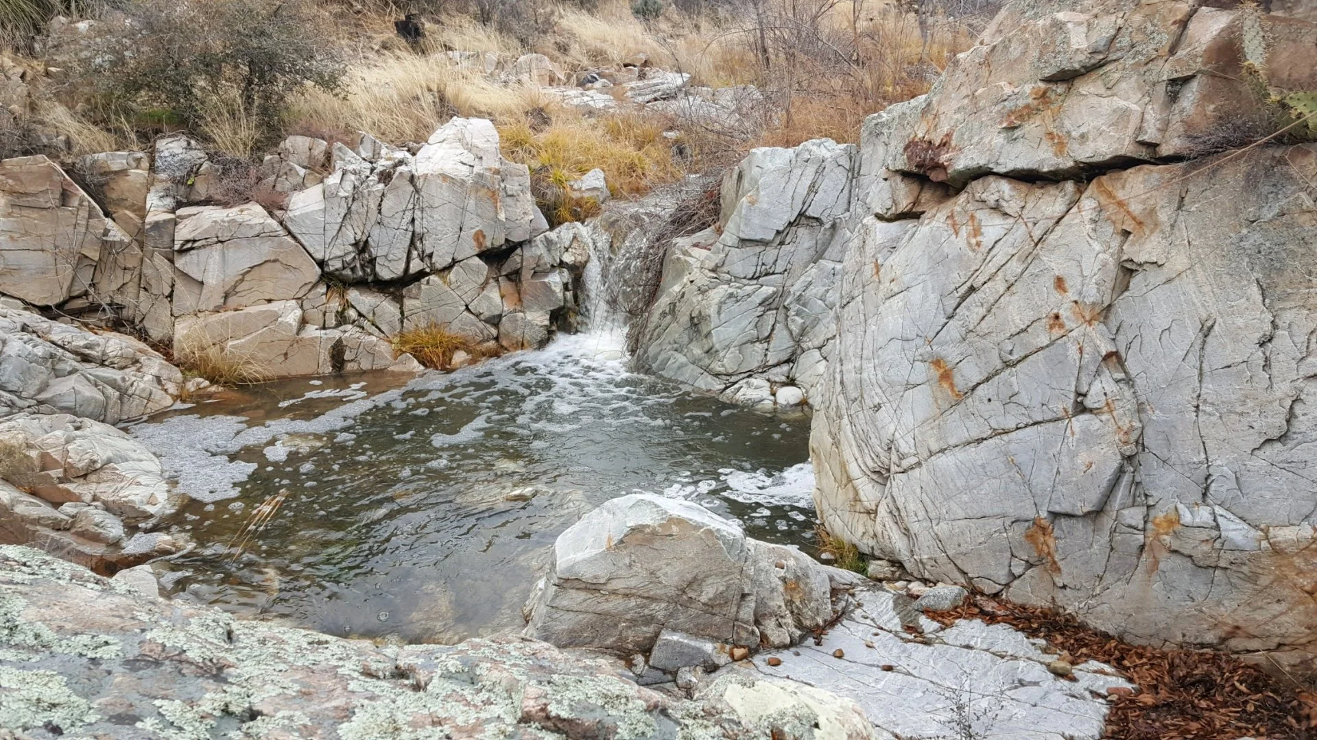 20211226_135350.webp