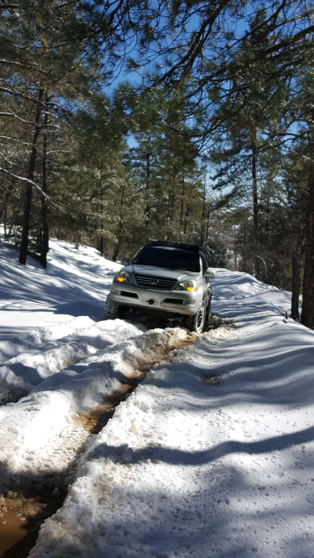 20220101_113116.webp