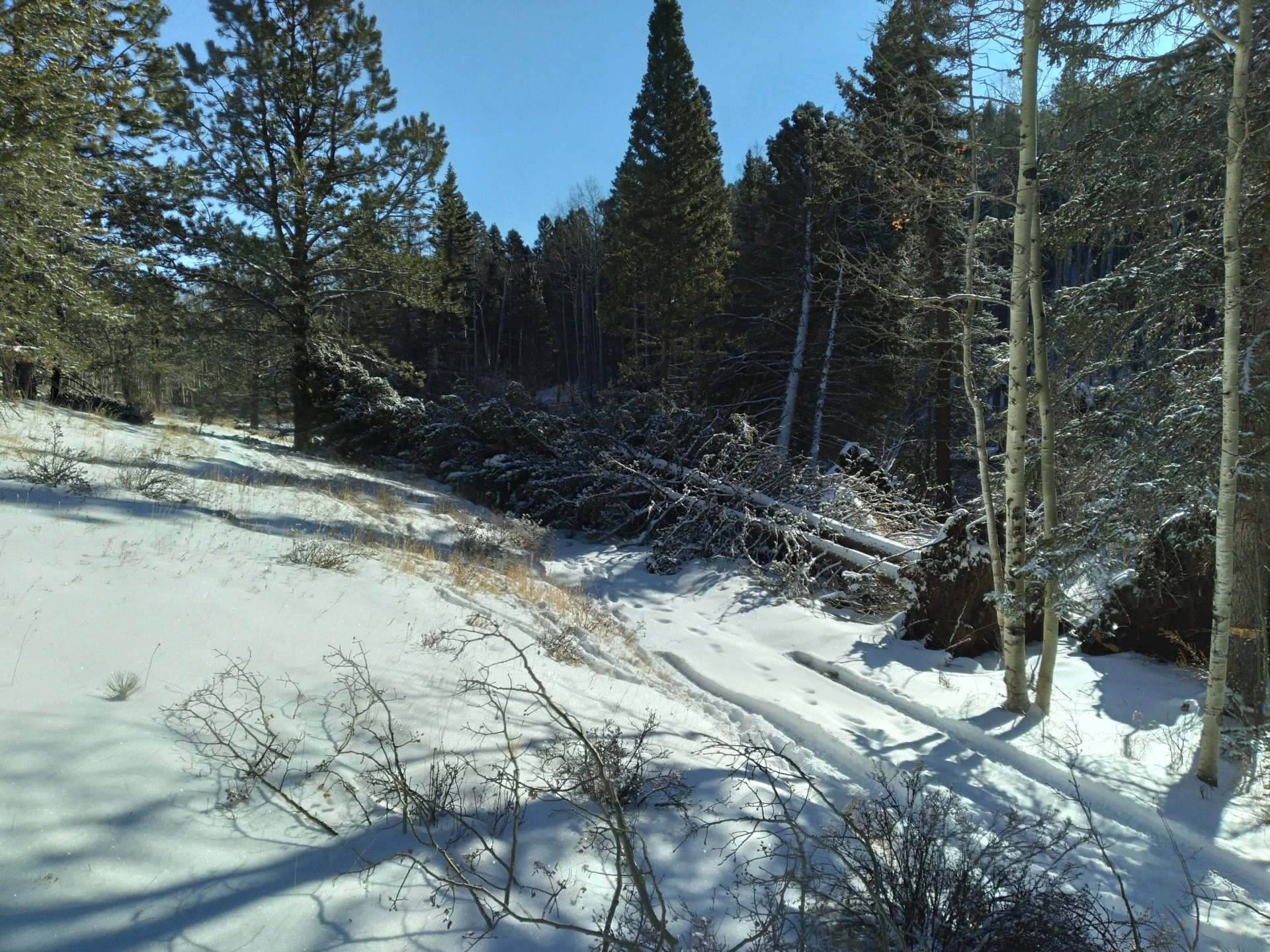 20220122_101213.webp