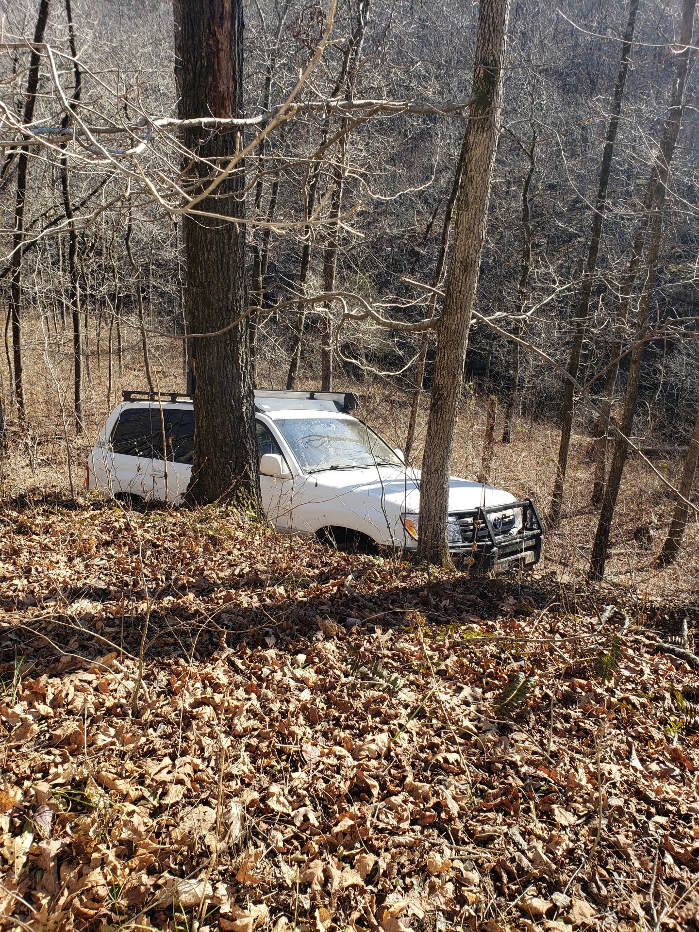 20220123_111108.jpg