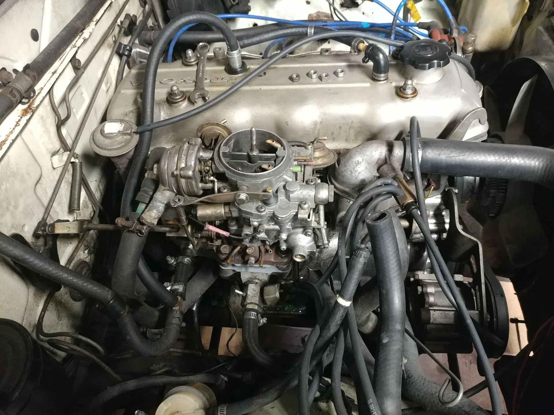 20220311_172401_HDR.jpg