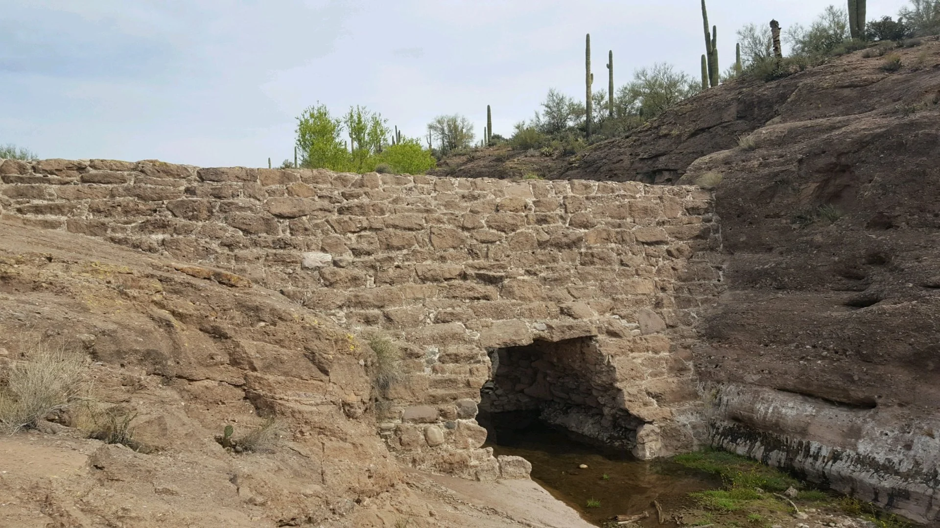 20220319_095159.webp