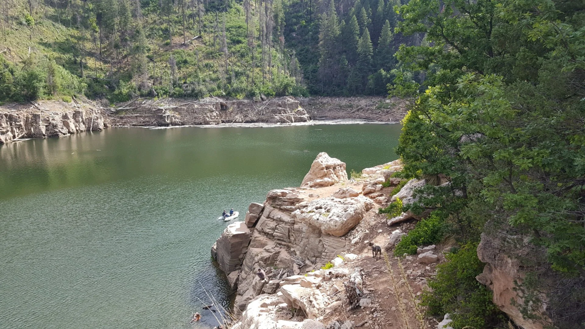 20220716_153737.webp