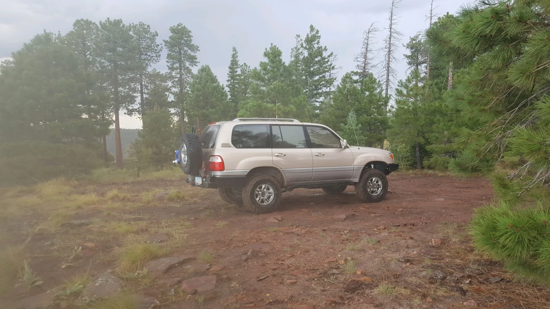 20220717_124528.webp