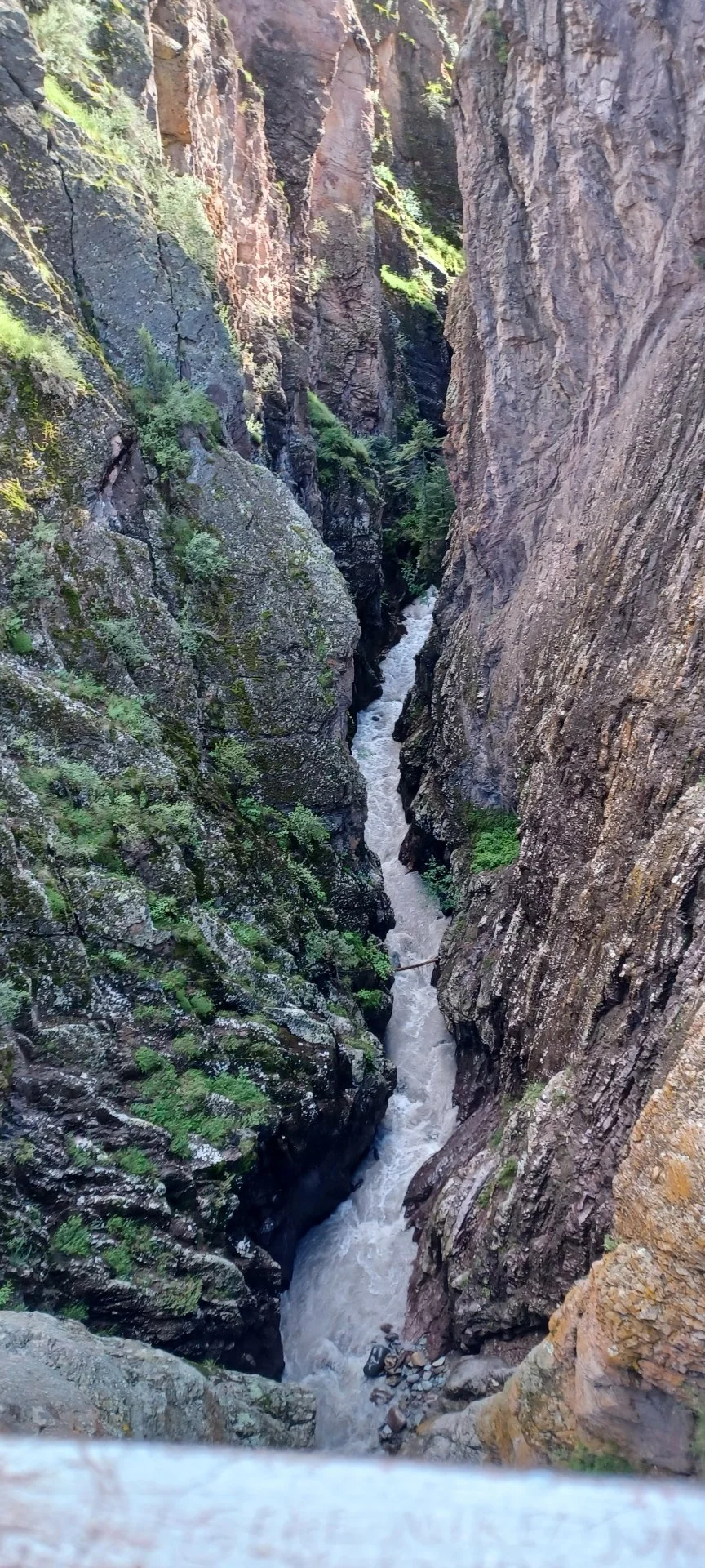 20220805_172252.jpg