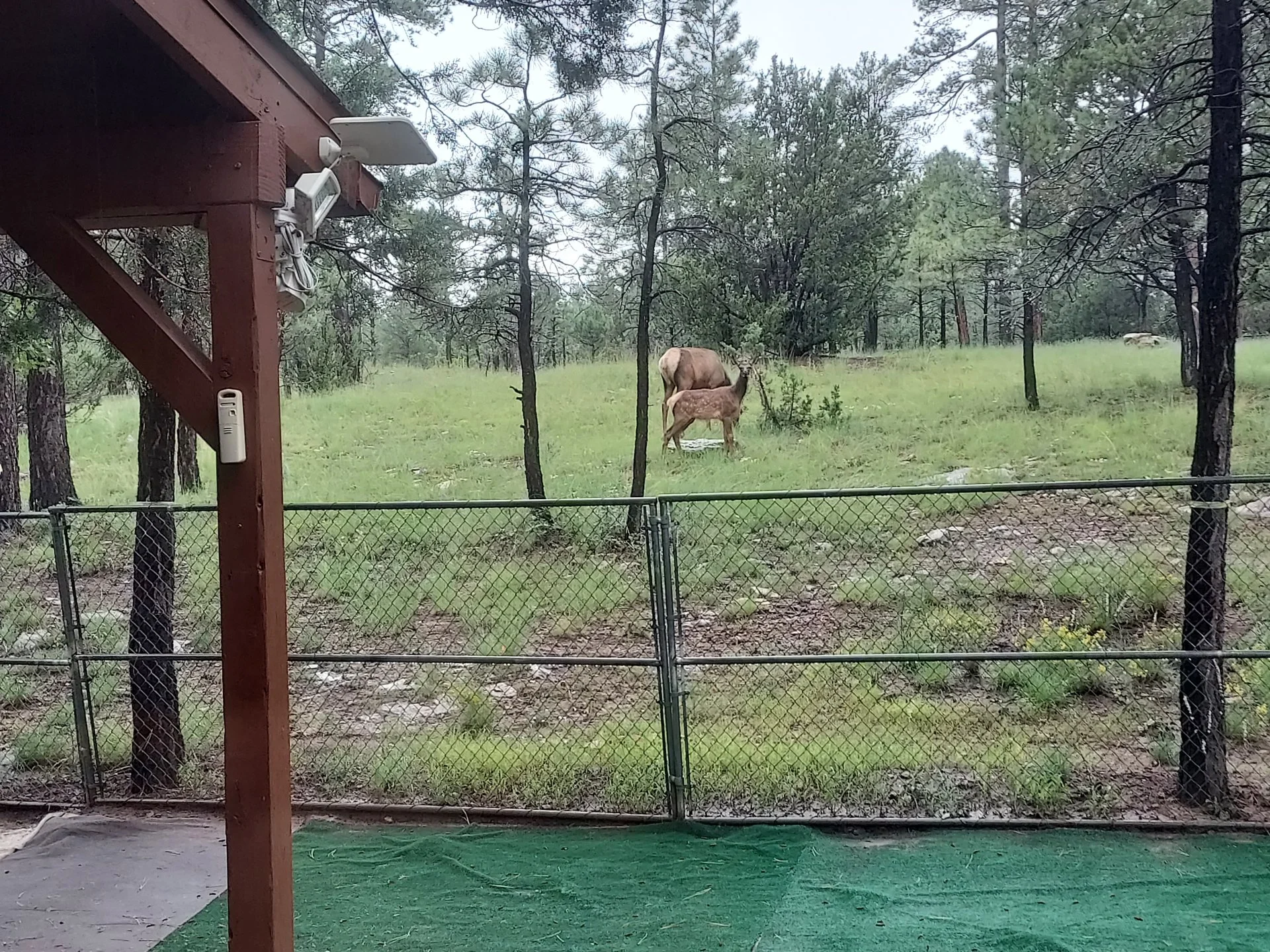 20220810_163828.webp