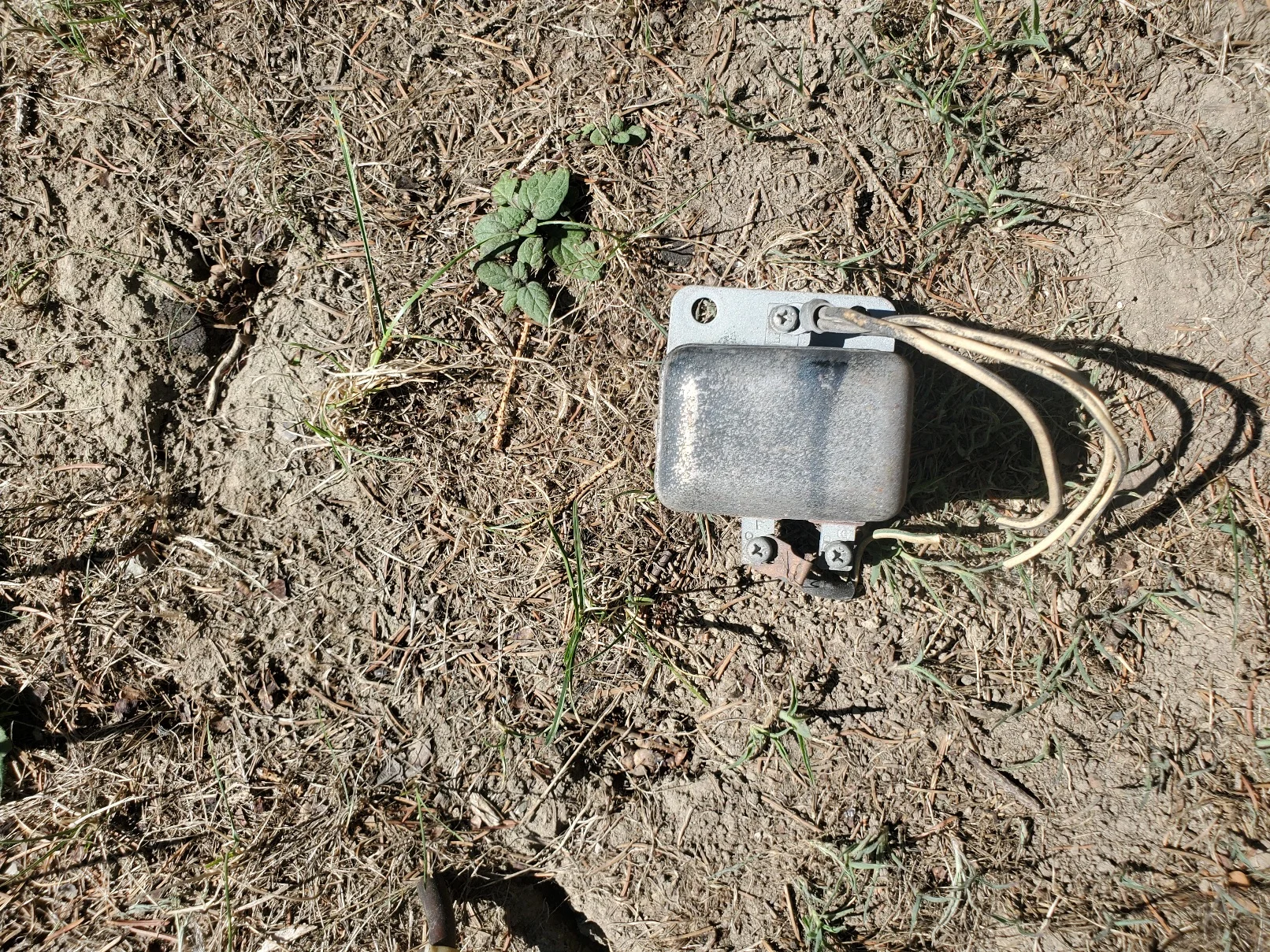 20220813_104237.jpg