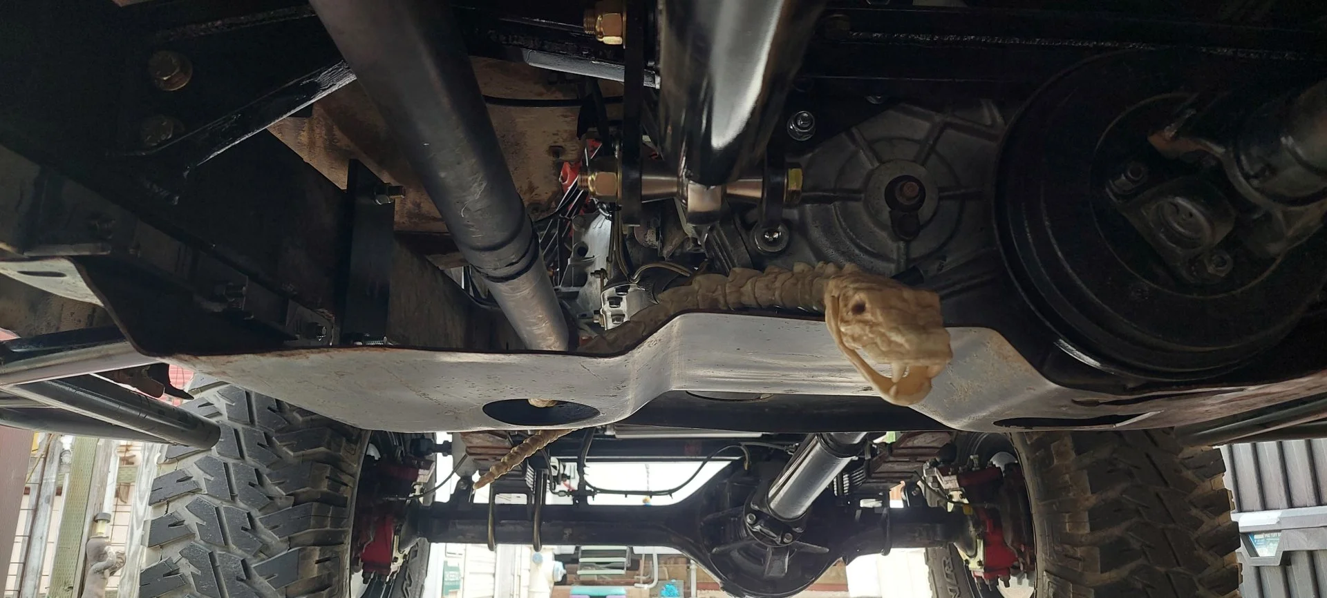 20220817_115324 skid with snake.webp