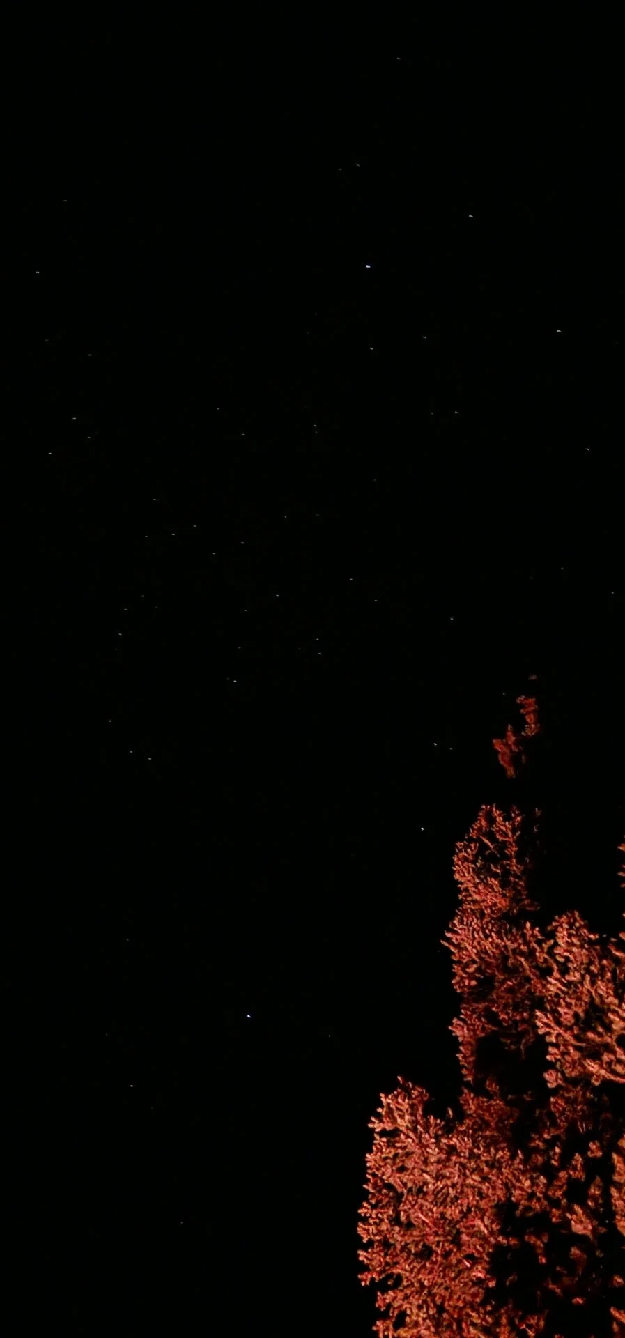 20220925_214018.jpg