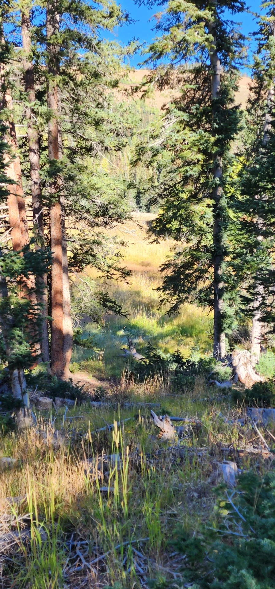 20220926_093628.jpg