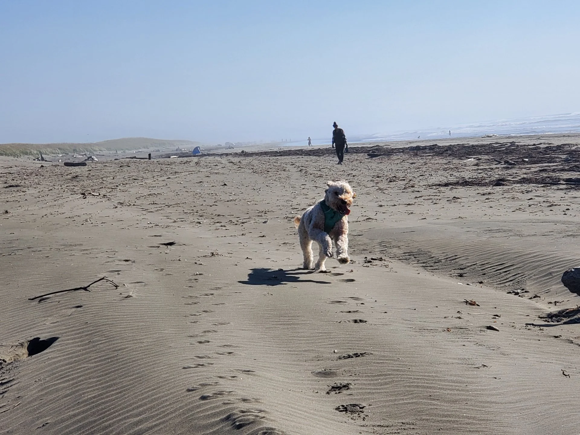 20221001_150729.webp