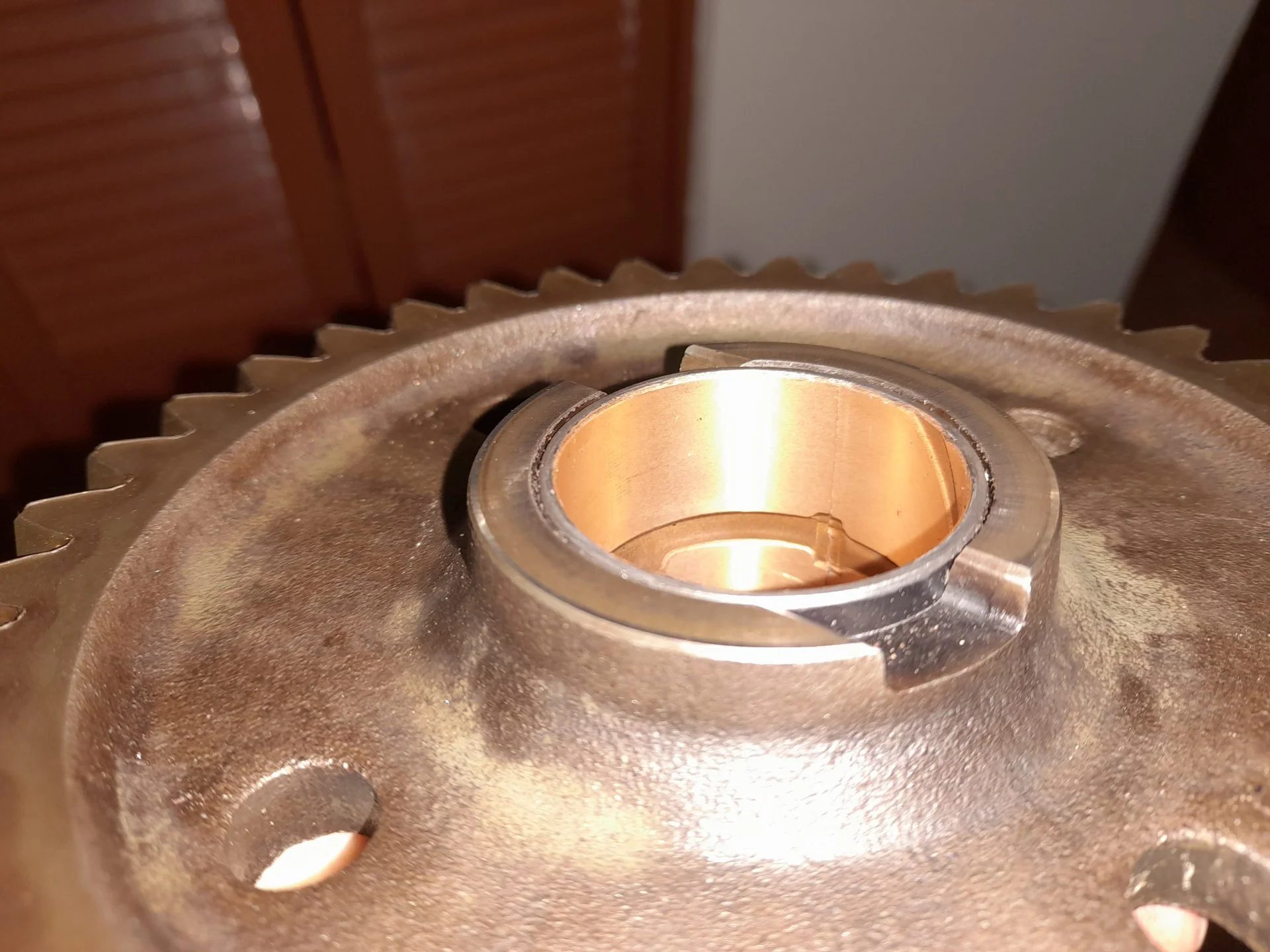 20221005_201116.jpg