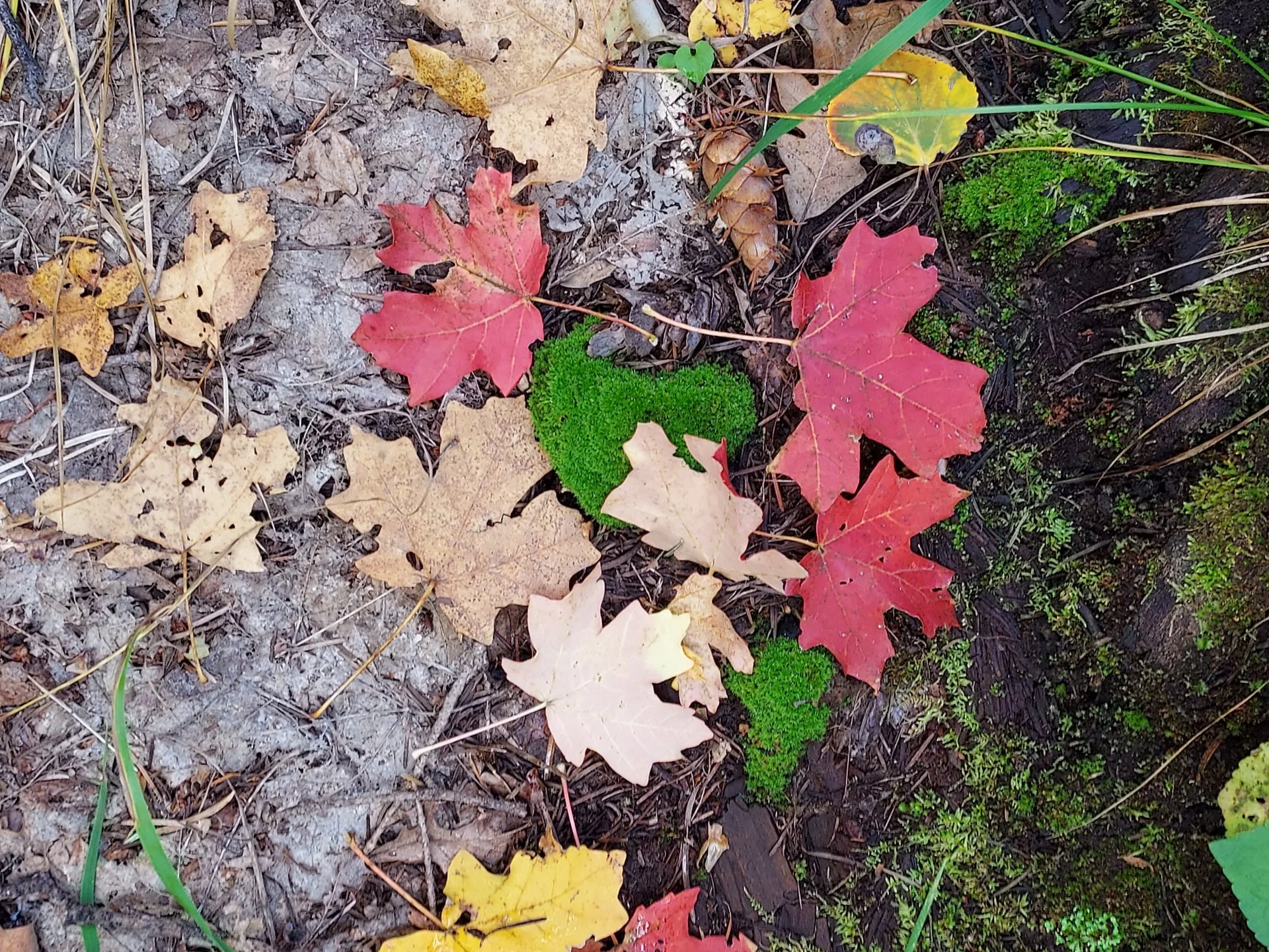 20221015_112602.webp