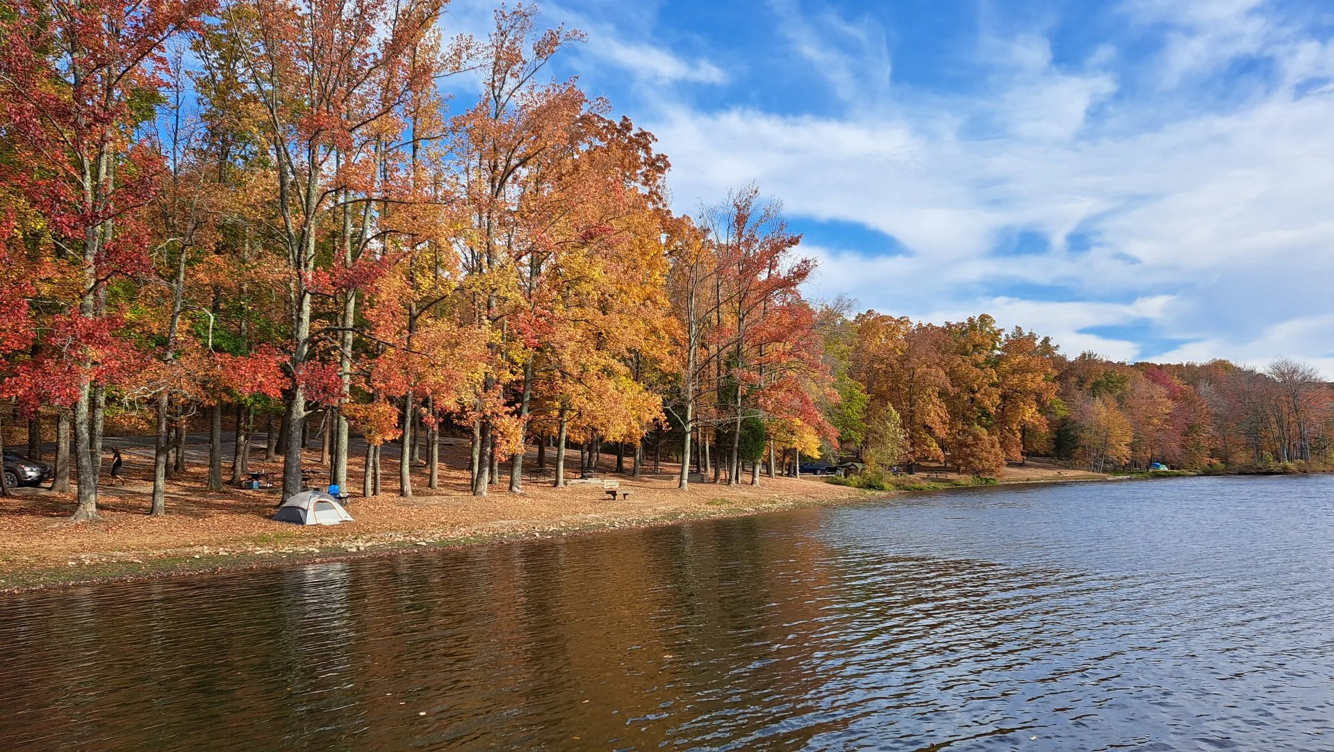 20221022_093705.webp
