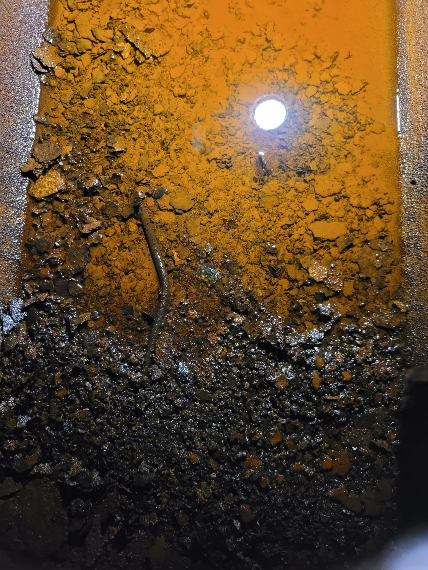 20221107_191955.jpg