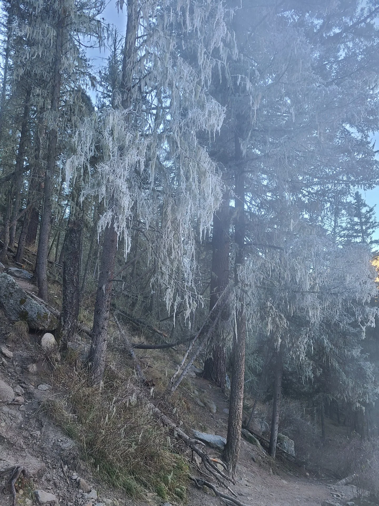 20221111_081839.webp