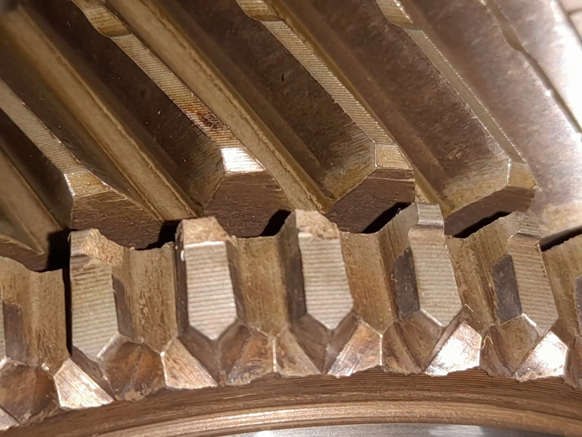 20221114_065325.jpg
