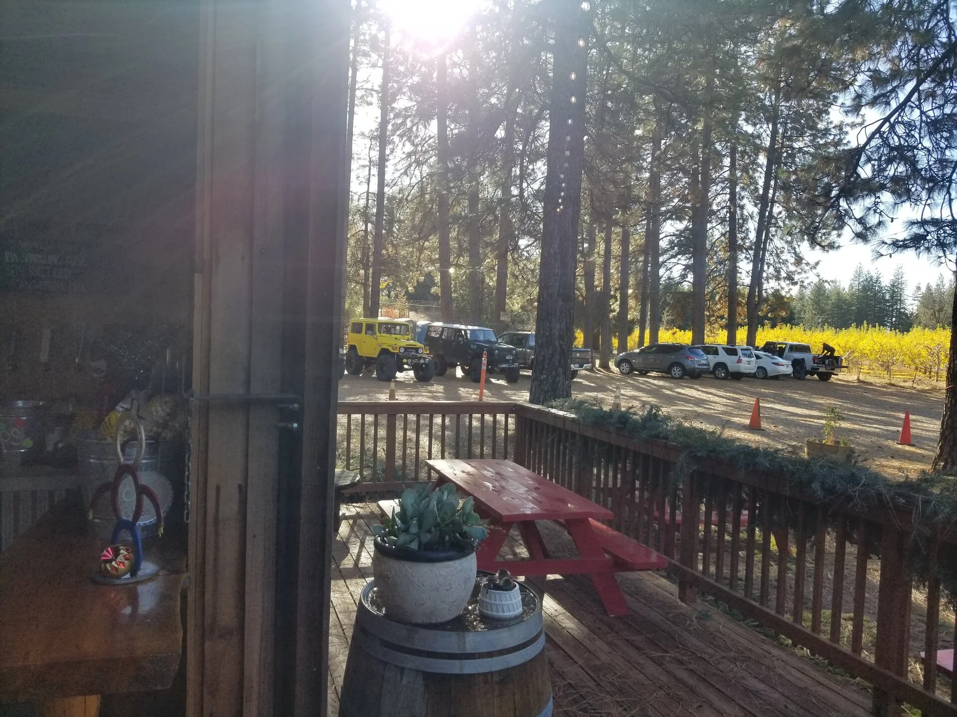 20221202_133014.webp