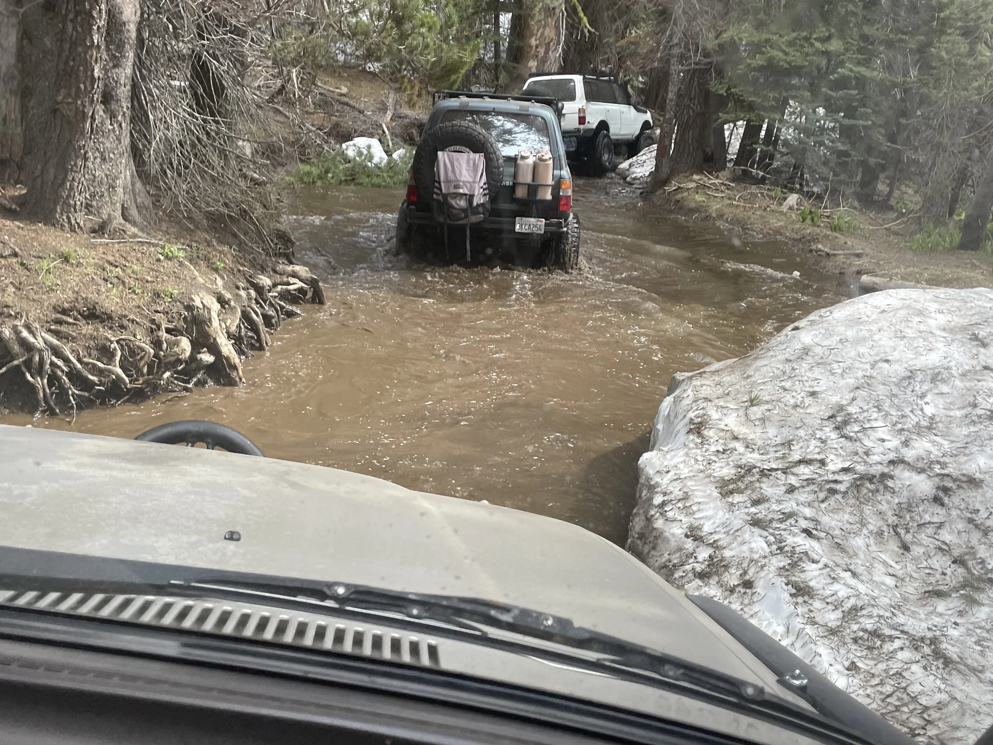 2023 wet trail, Tahoe exit.webp