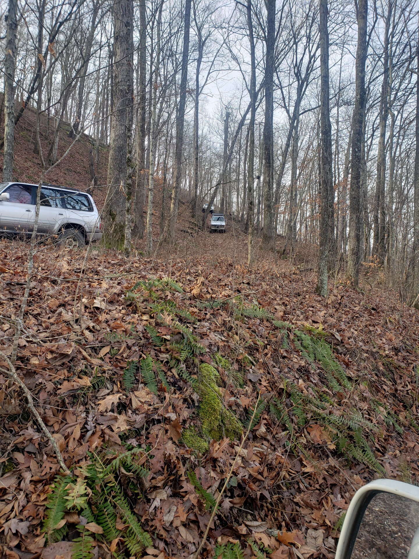 20230114_103018.jpg