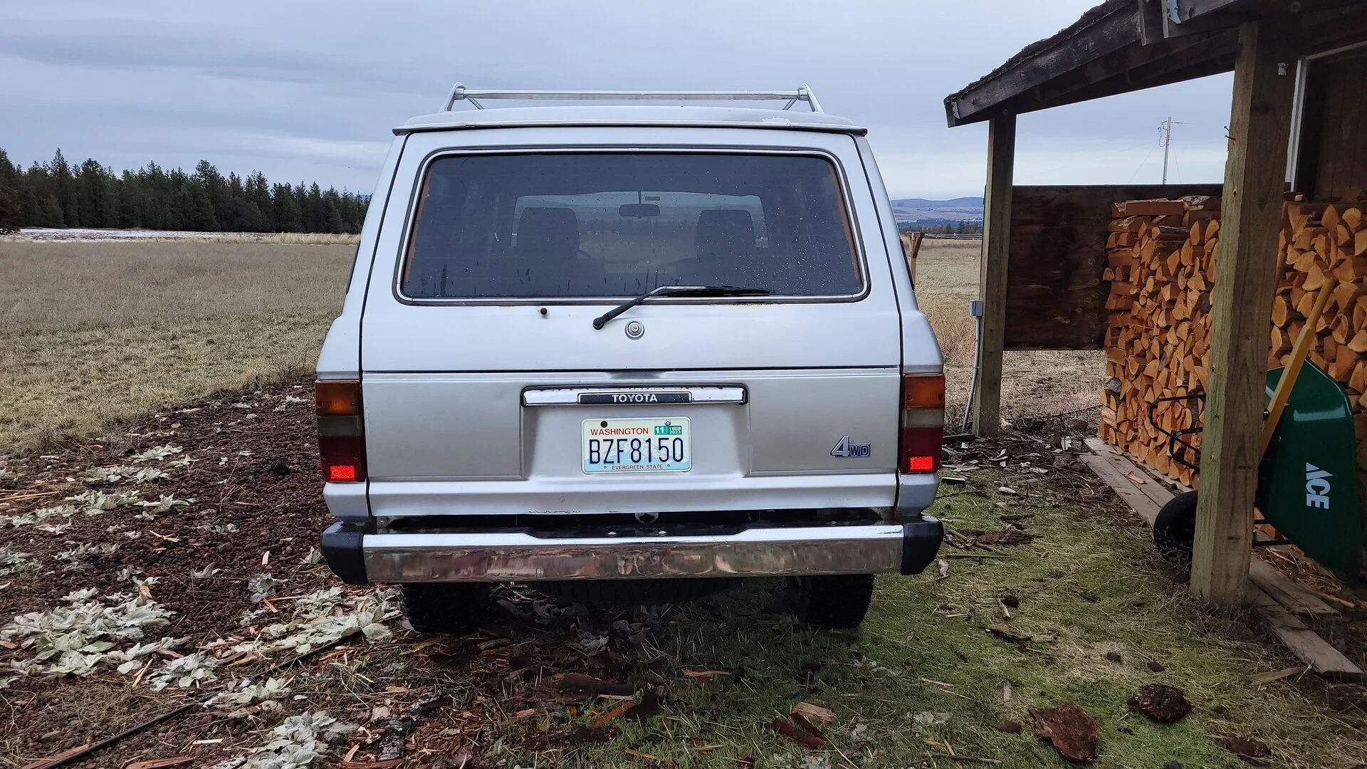 20230114_125449 - Copy.jpg