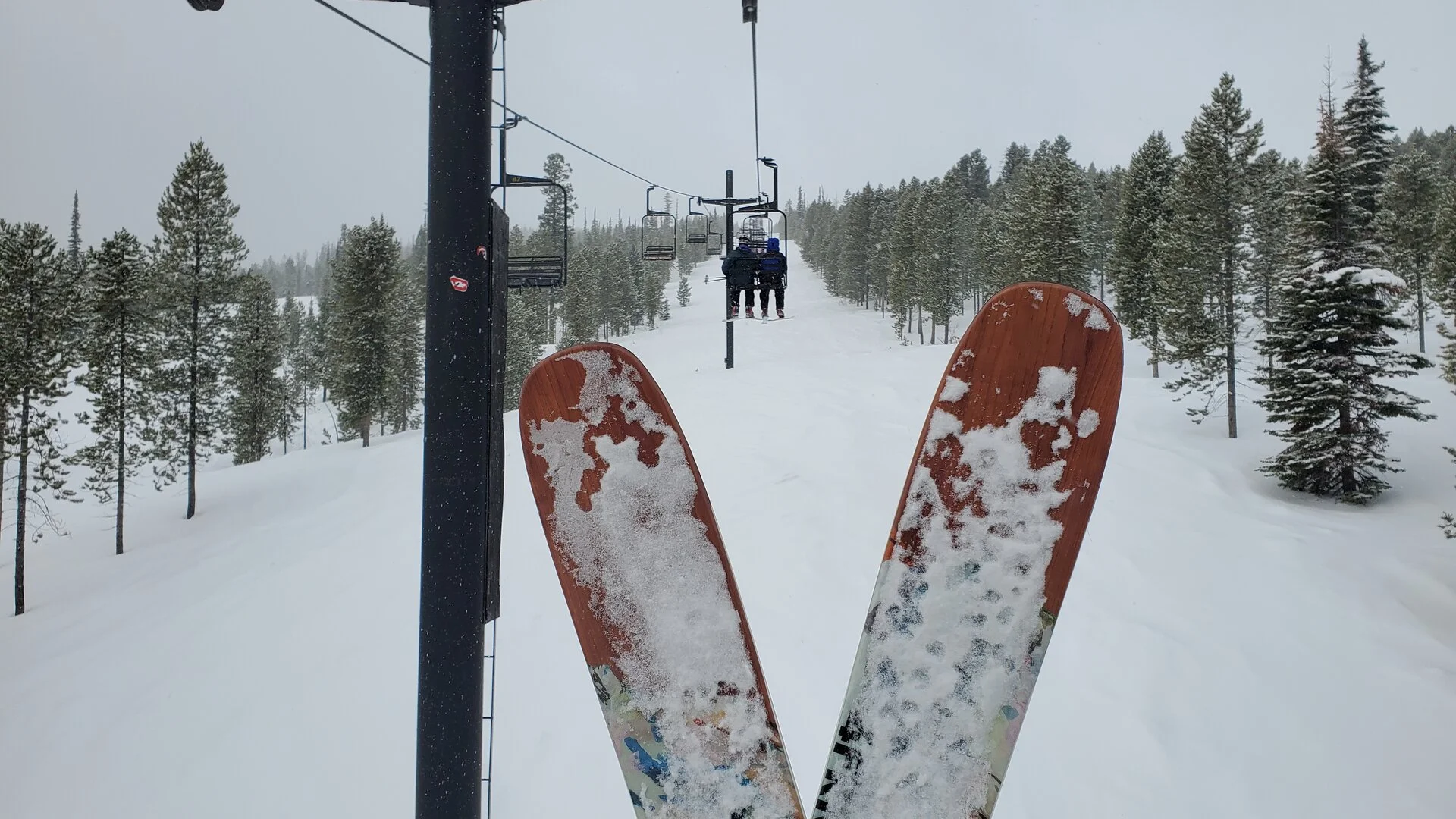 20230127_094647.jpg