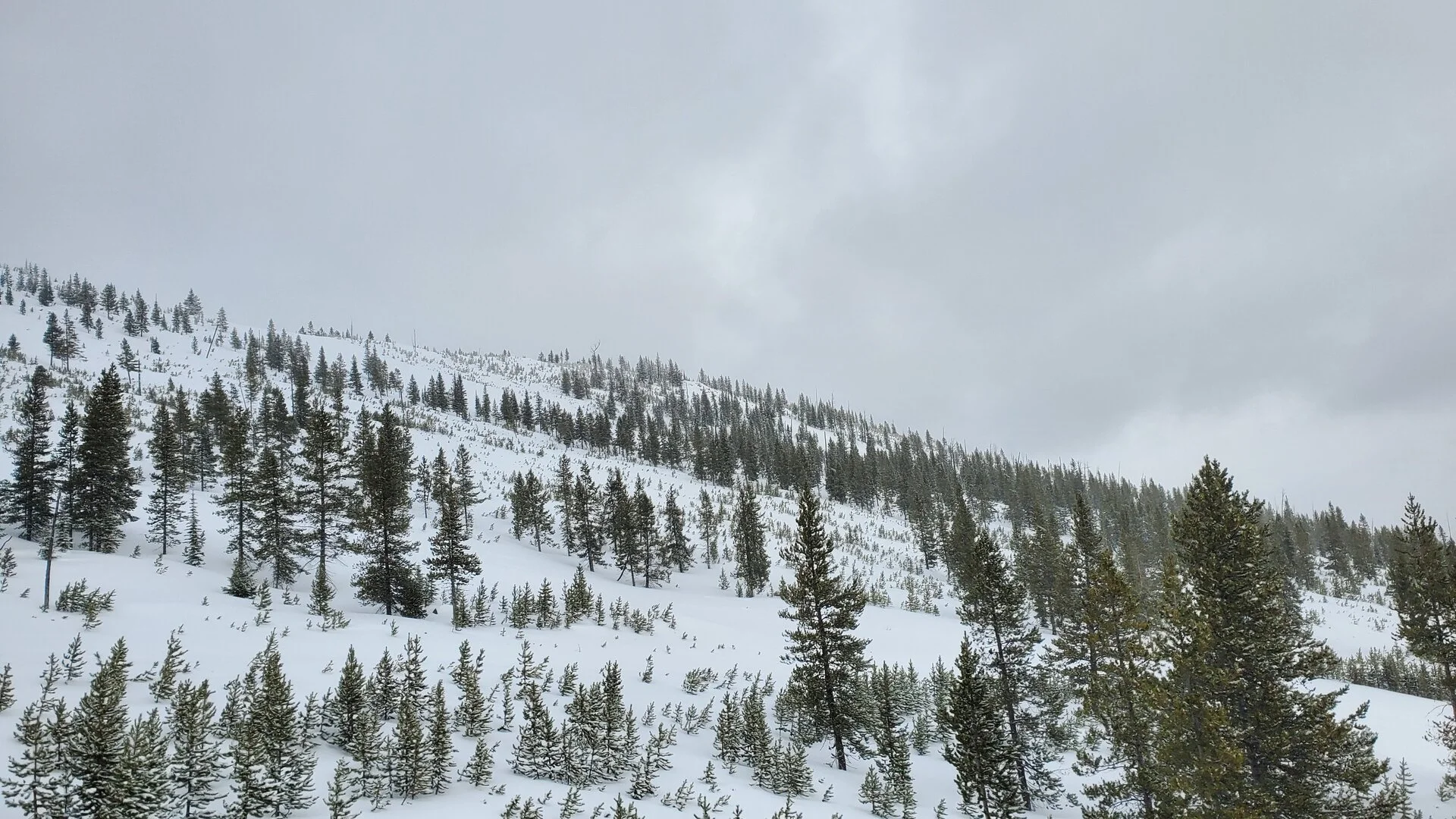 20230127_095437.jpg