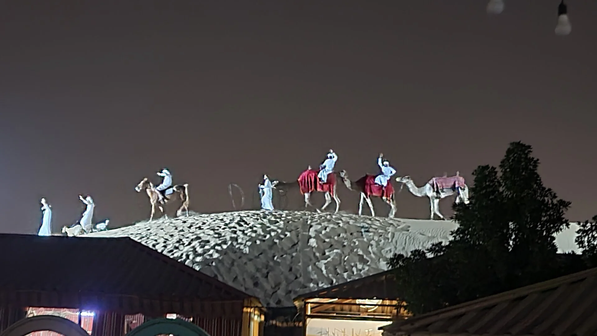 20230303_200301.webp