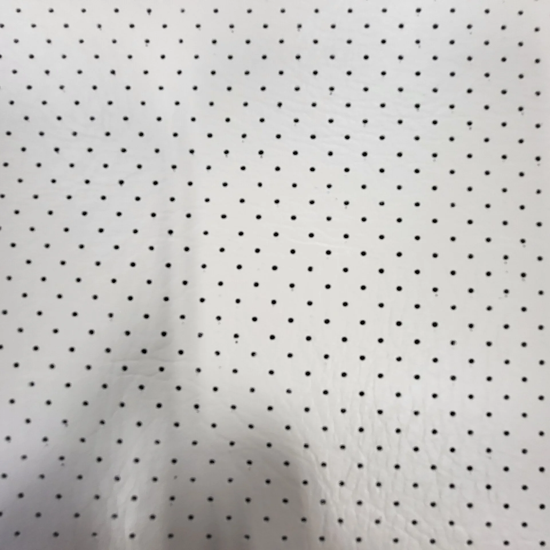 20230324_142620.jpg