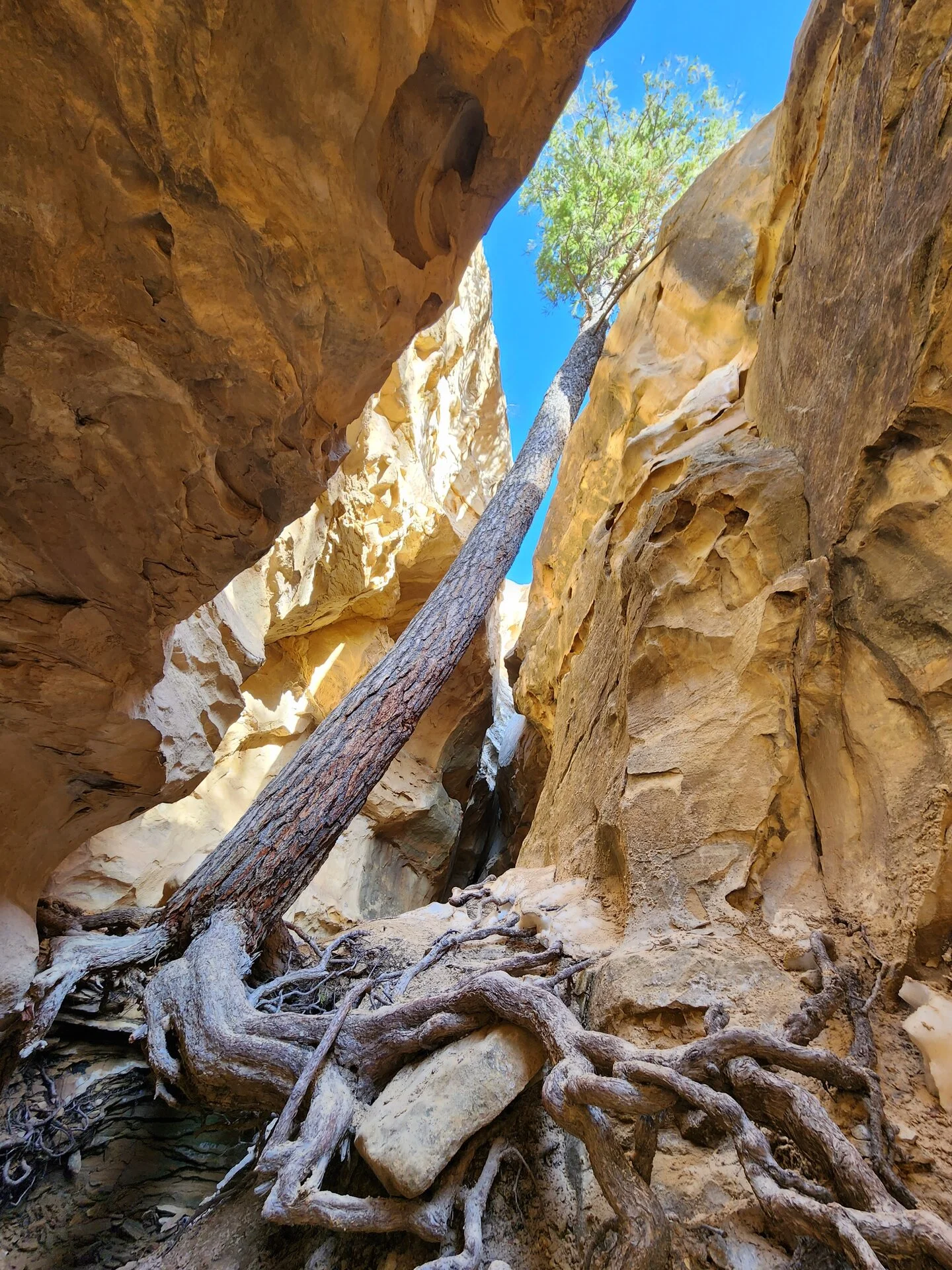 20230419_181031.jpg