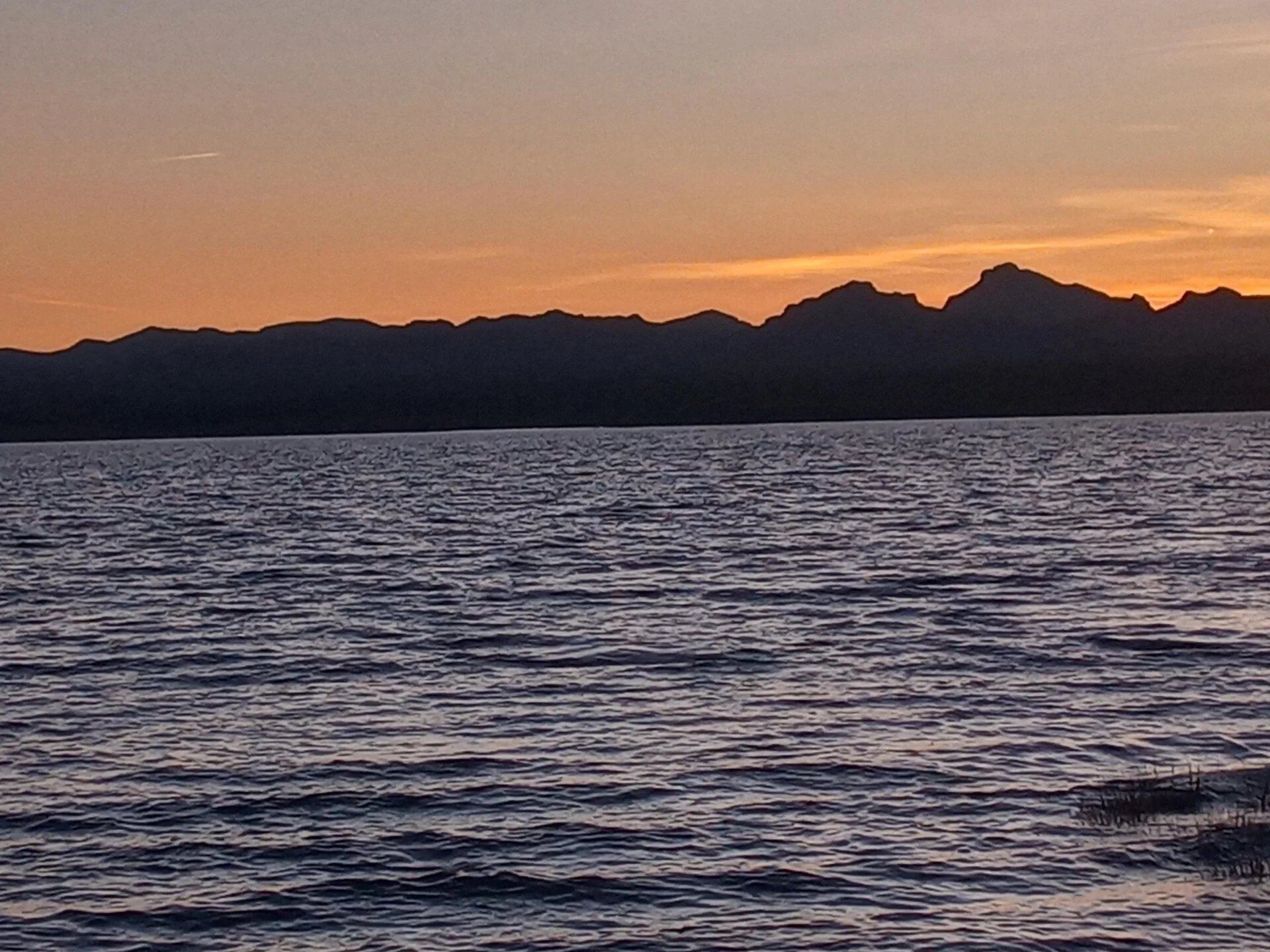 20230421_191816_HDR.jpg