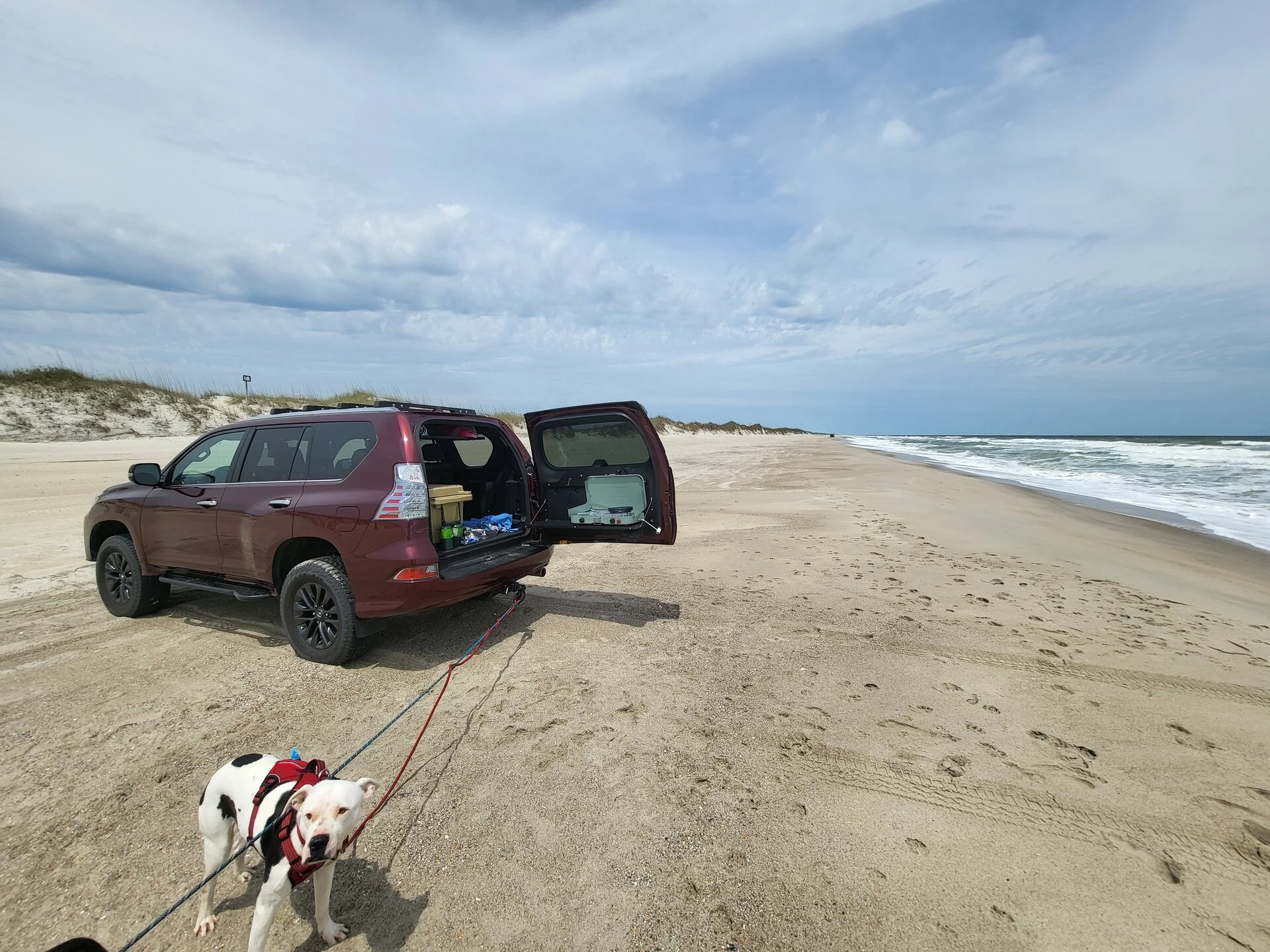 20230425_132741.webp