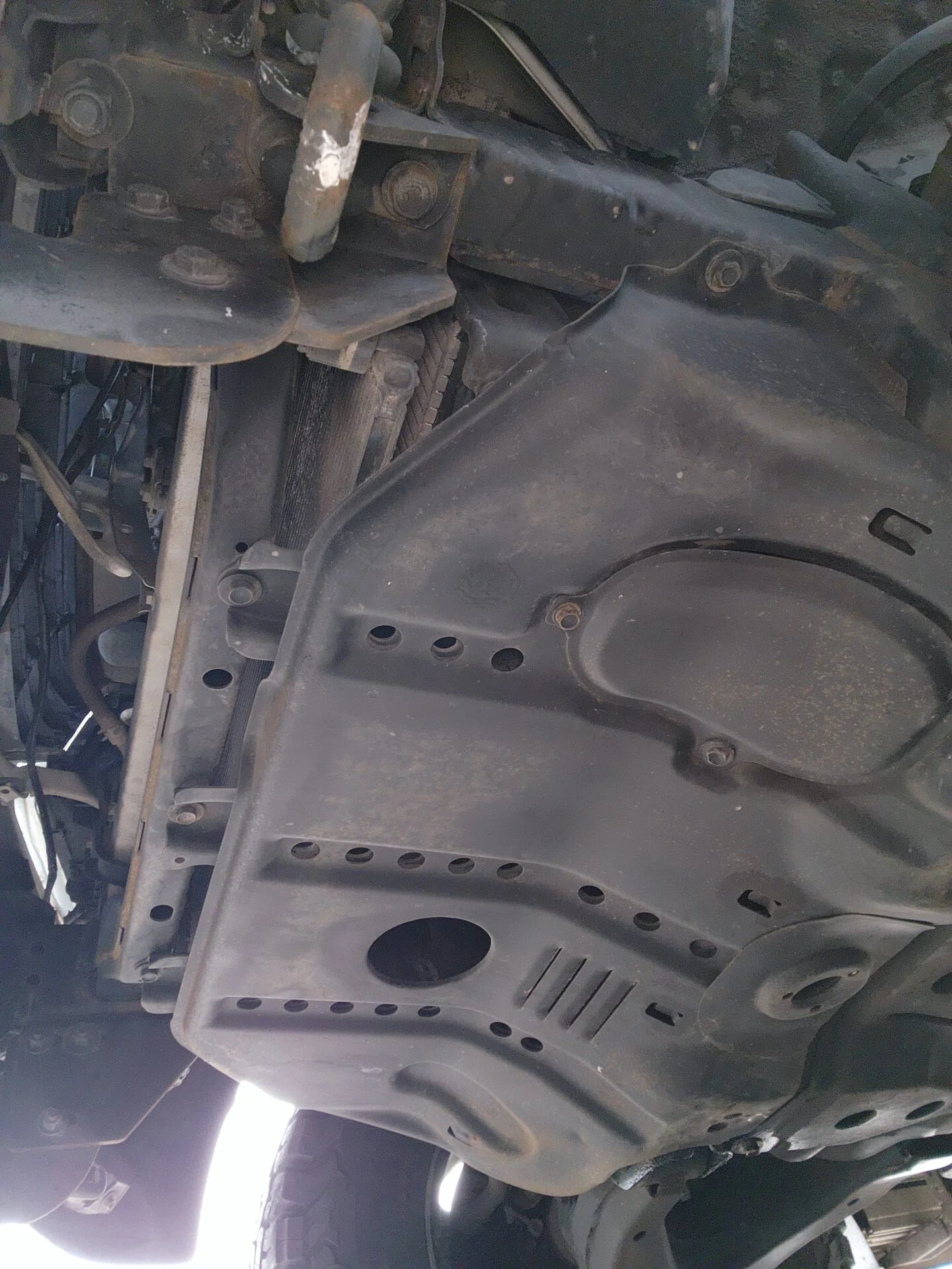 20230427_193125[1].webp