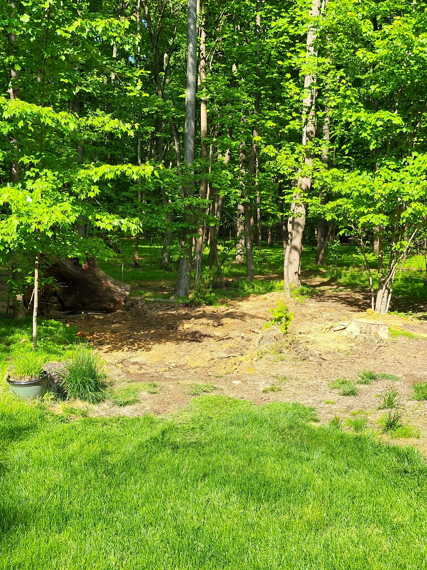 20230510_164128[1].webp
