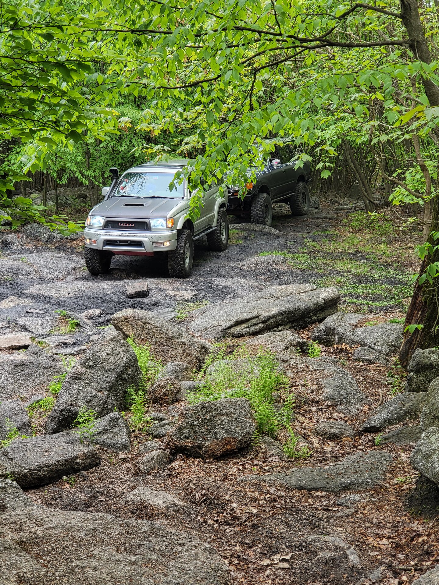 20230513_101325[1].jpg