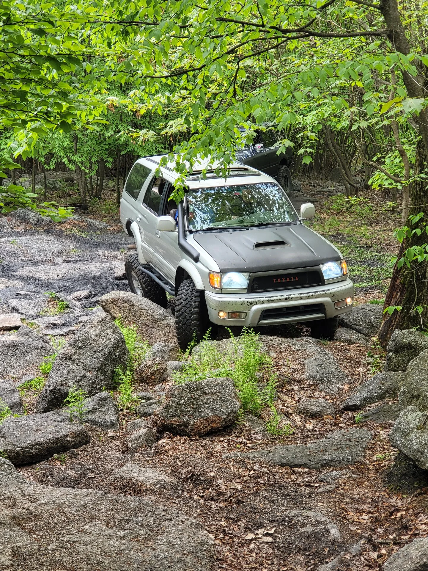 20230513_101356[1].webp