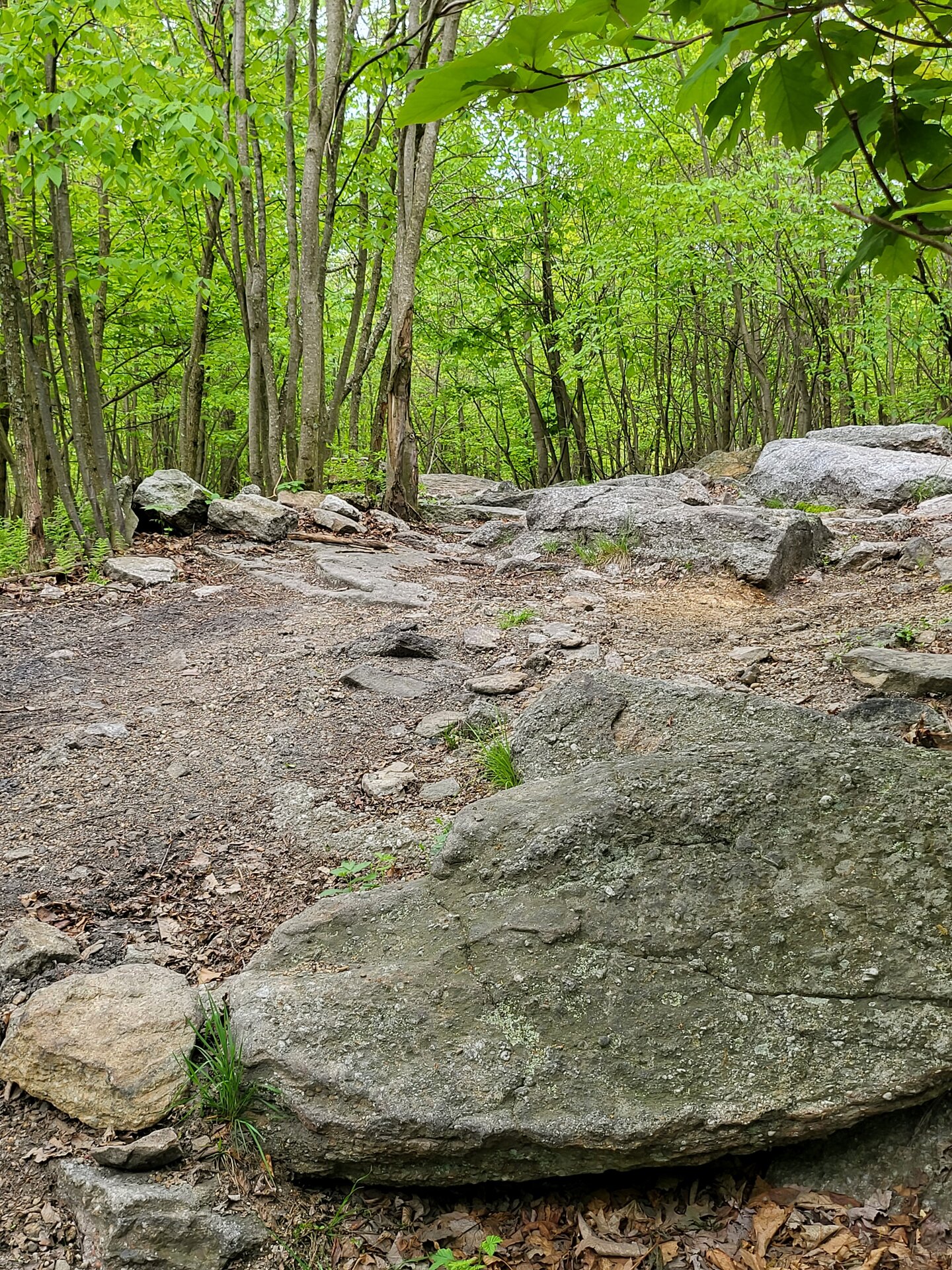 20230513_101429[1].jpg