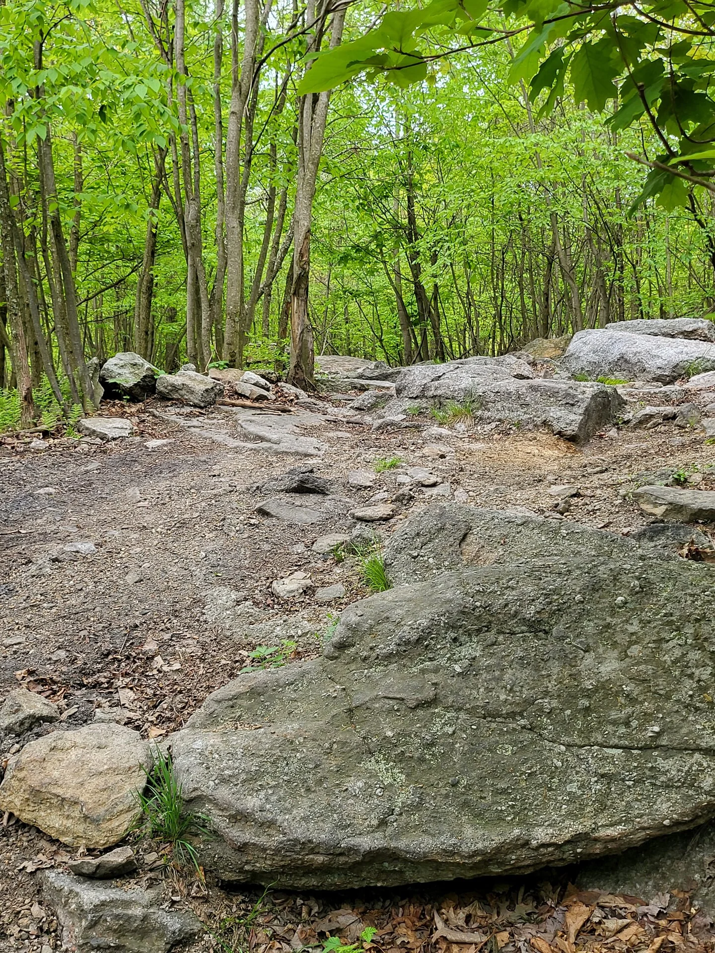20230513_101429[1].webp