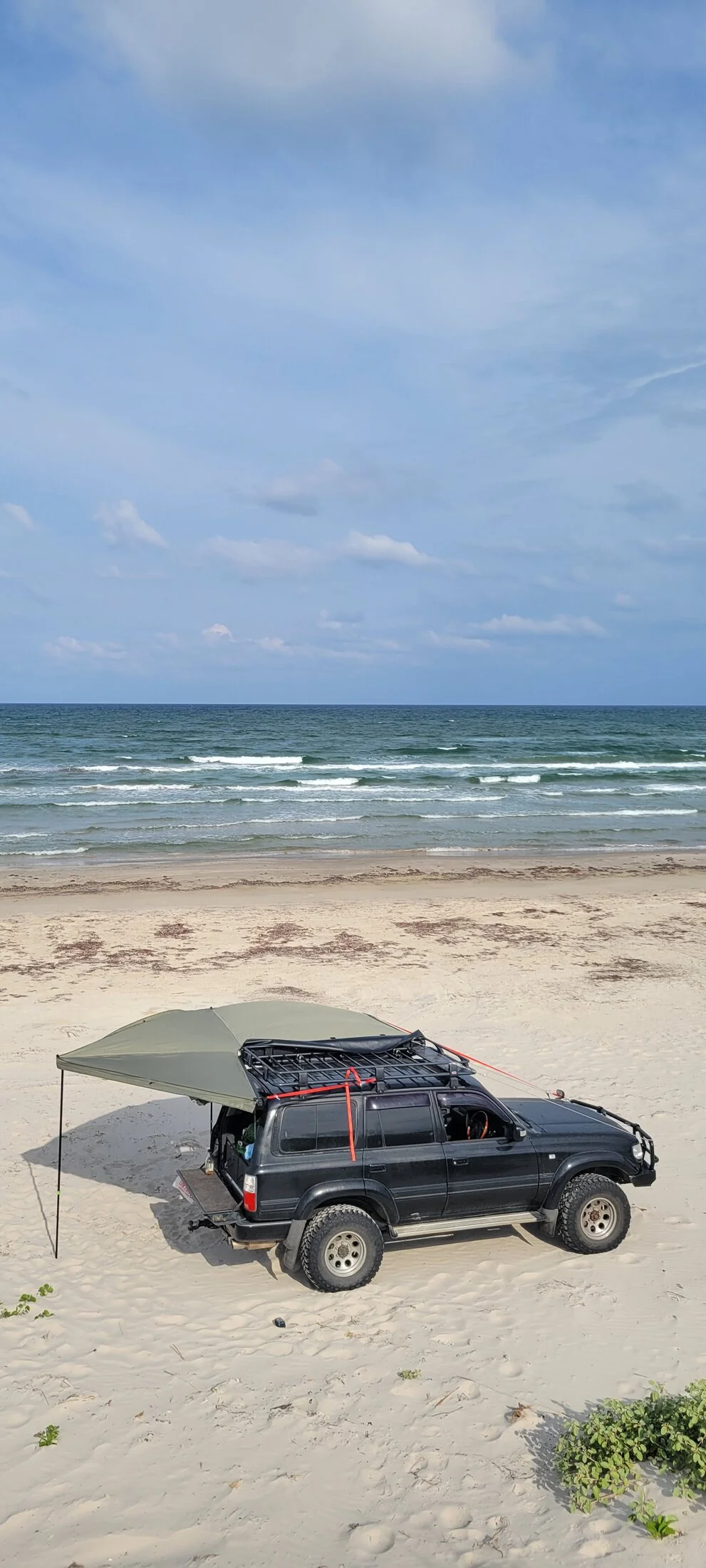20230528_173301.webp