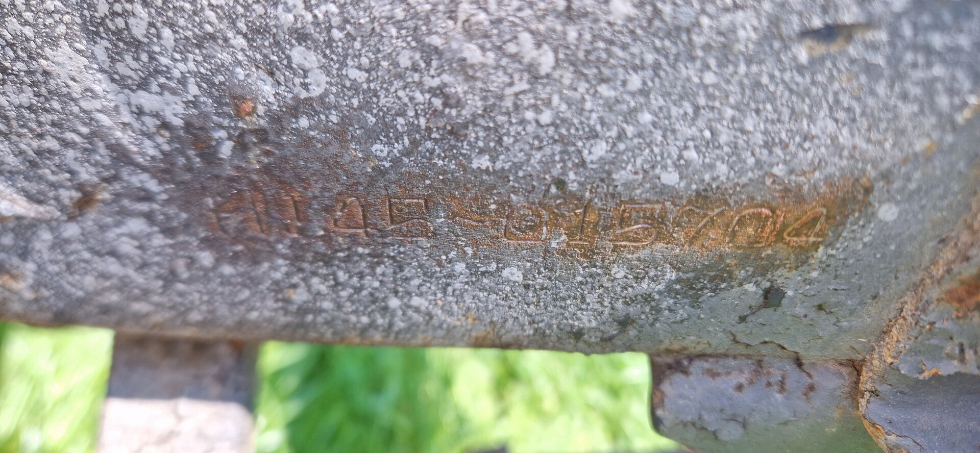 20230607_110207.jpg