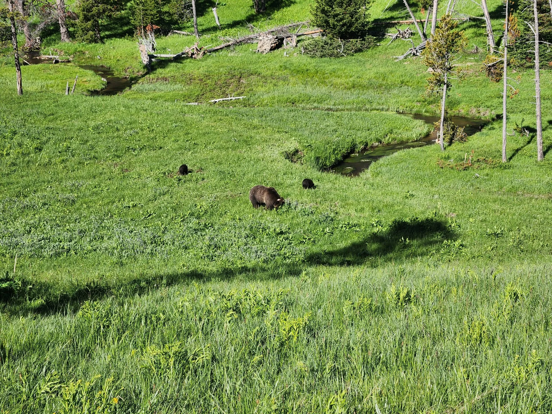 20230622_091314.webp