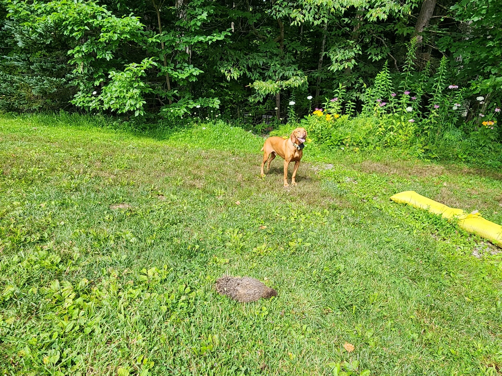 20230804_144540.webp