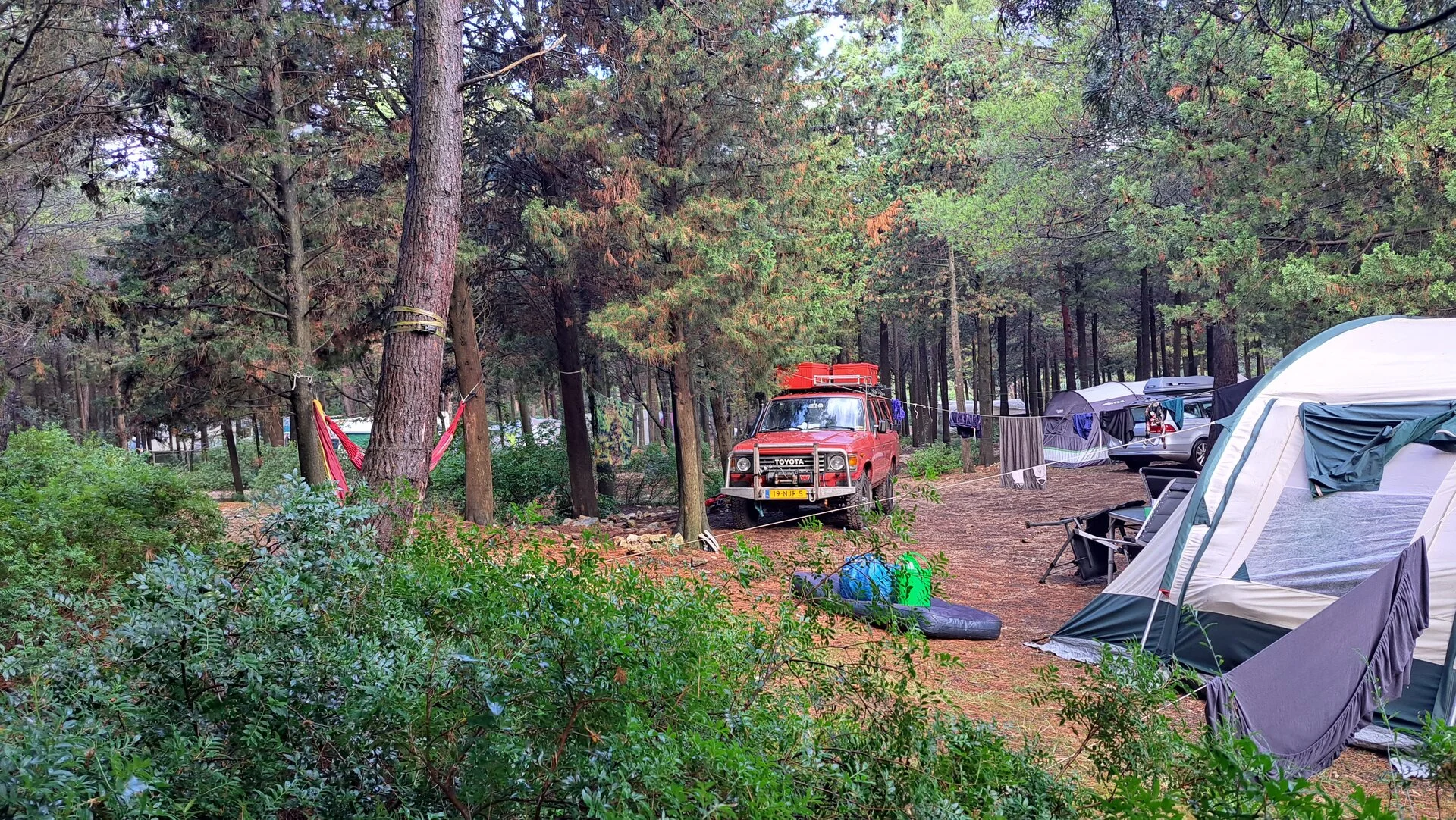 20230806_072431.jpg