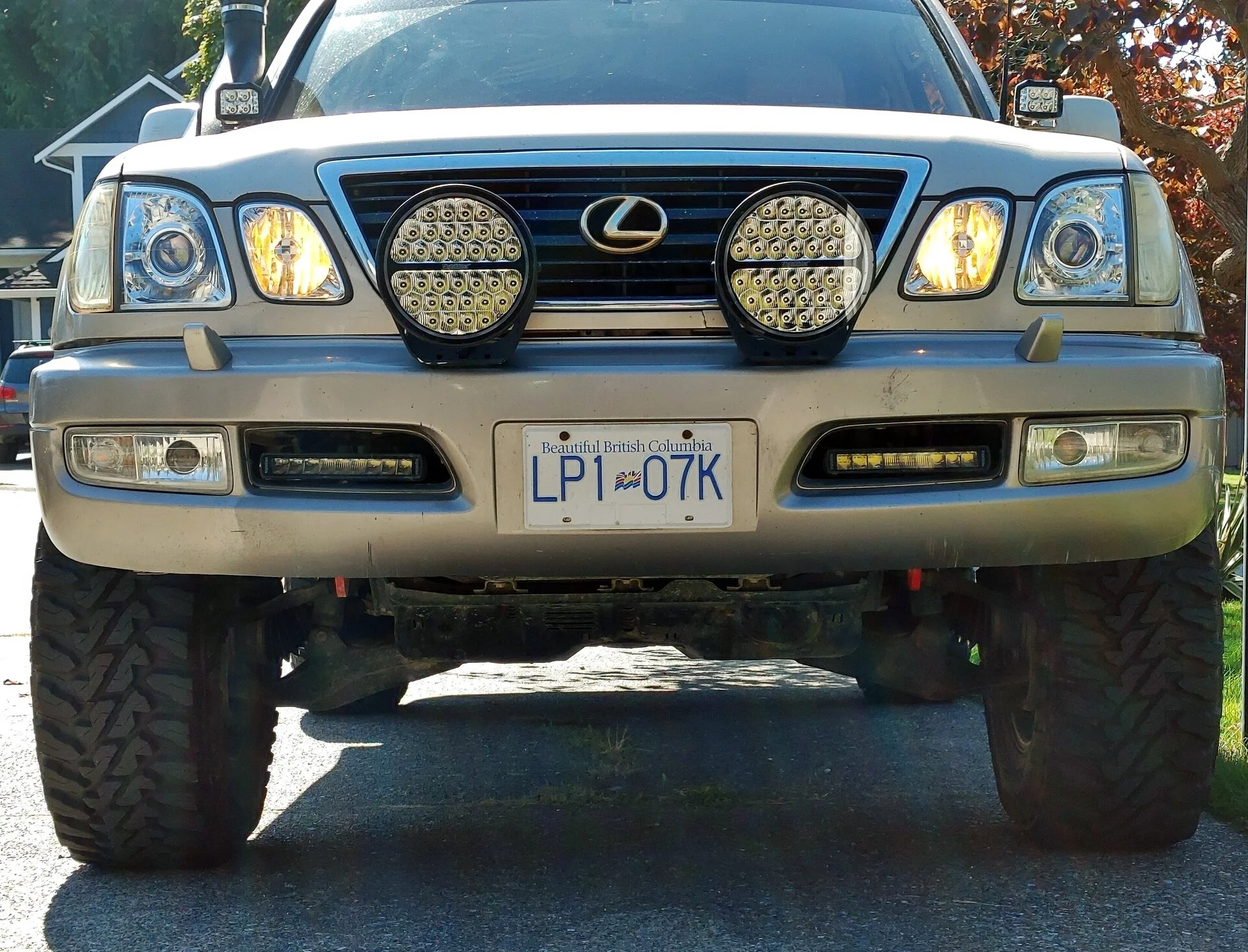 20230915_122346_HDR_(1).webp