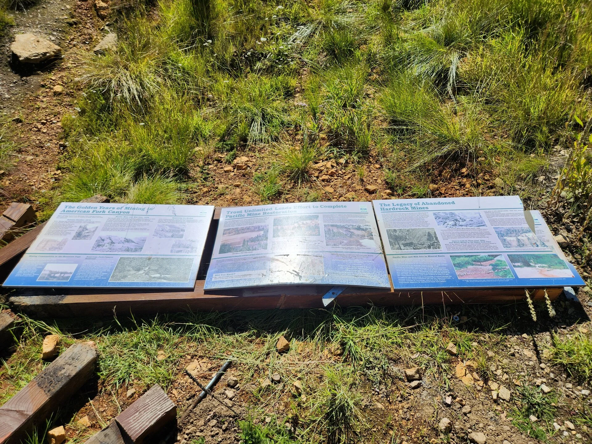 20230923_135348.jpg