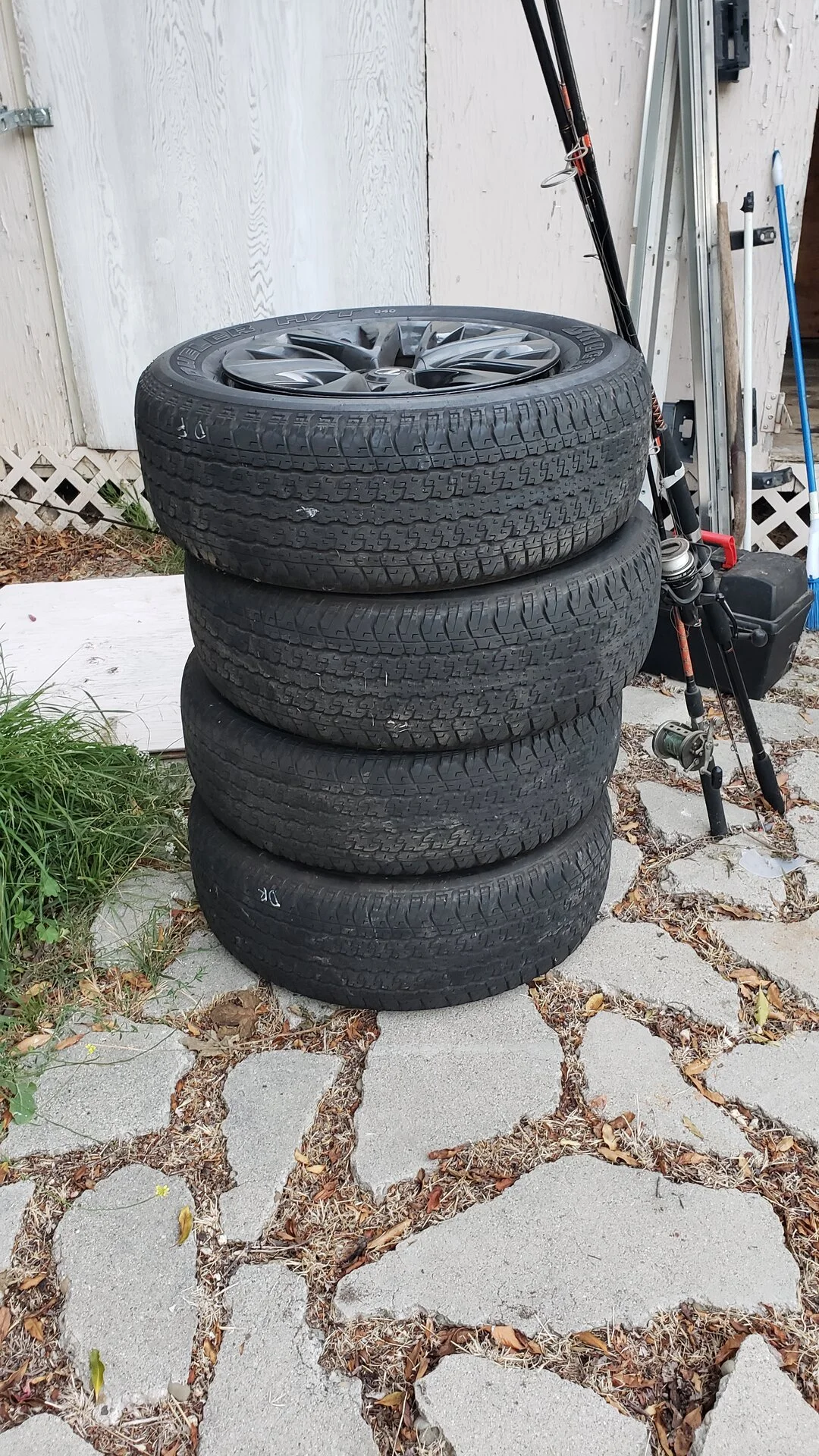 20230928_065508.webp